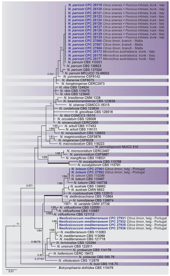 Plants 10 00492 g005 550