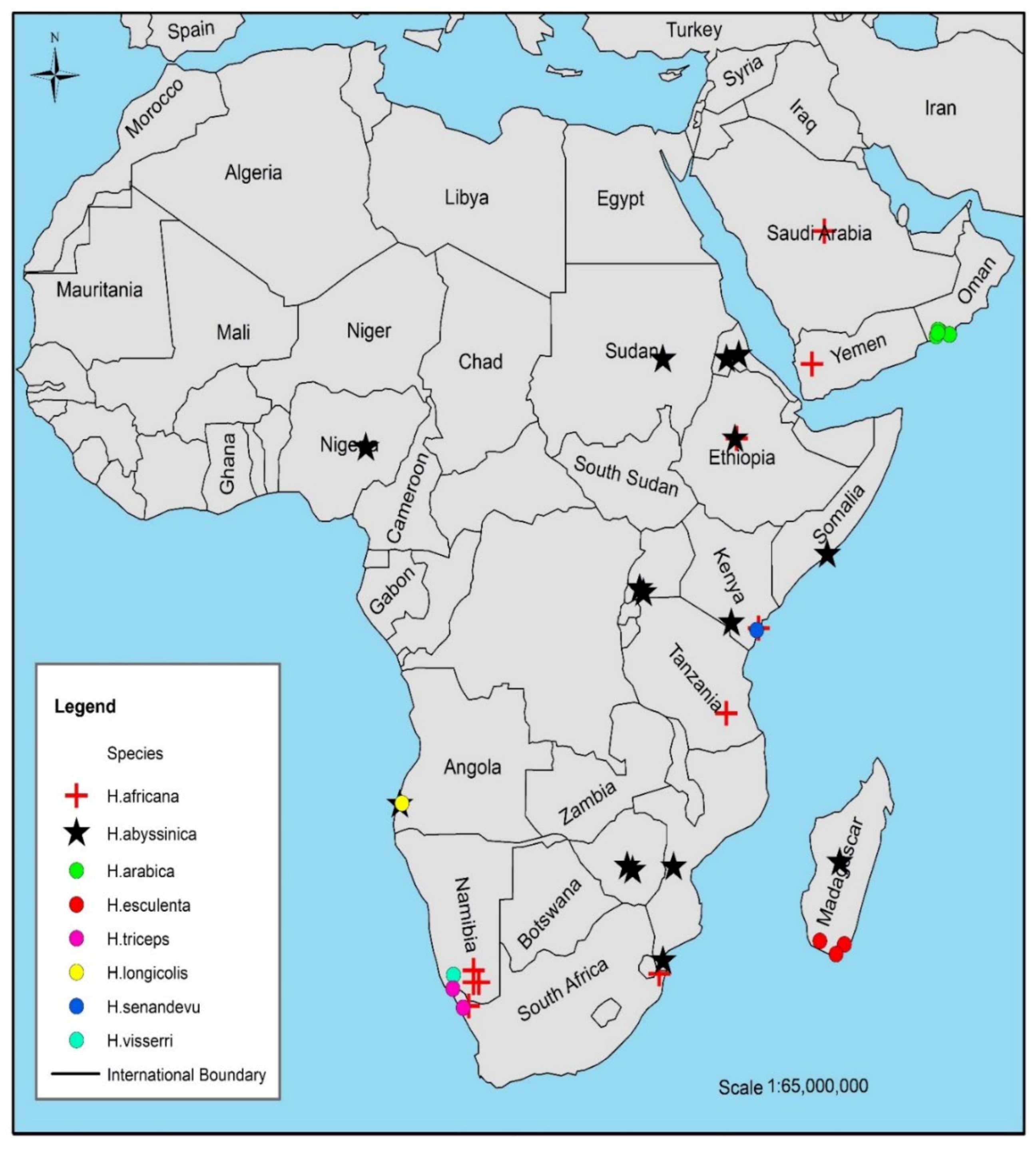 Plants 10 00494 g002