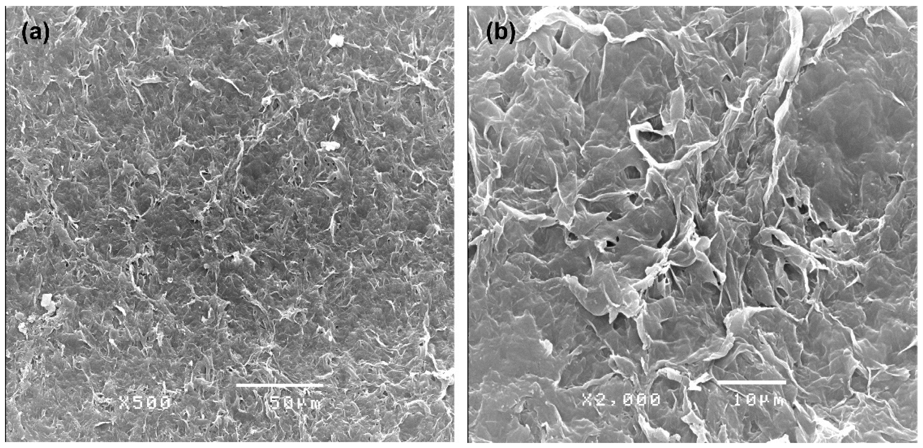 Plants 10 00503 g005