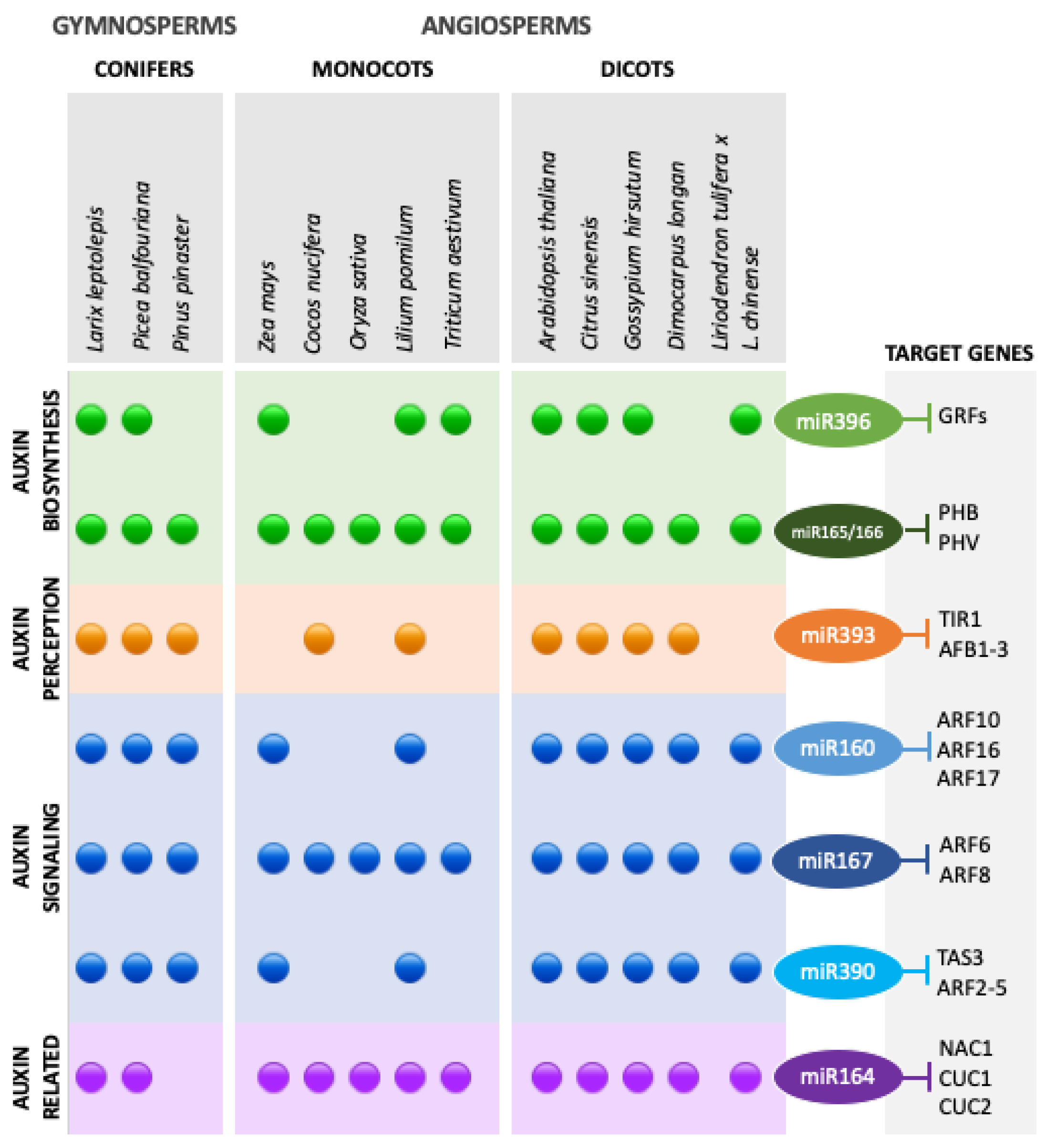 Plants 10 00504 g001 Plants 10 00504 g001