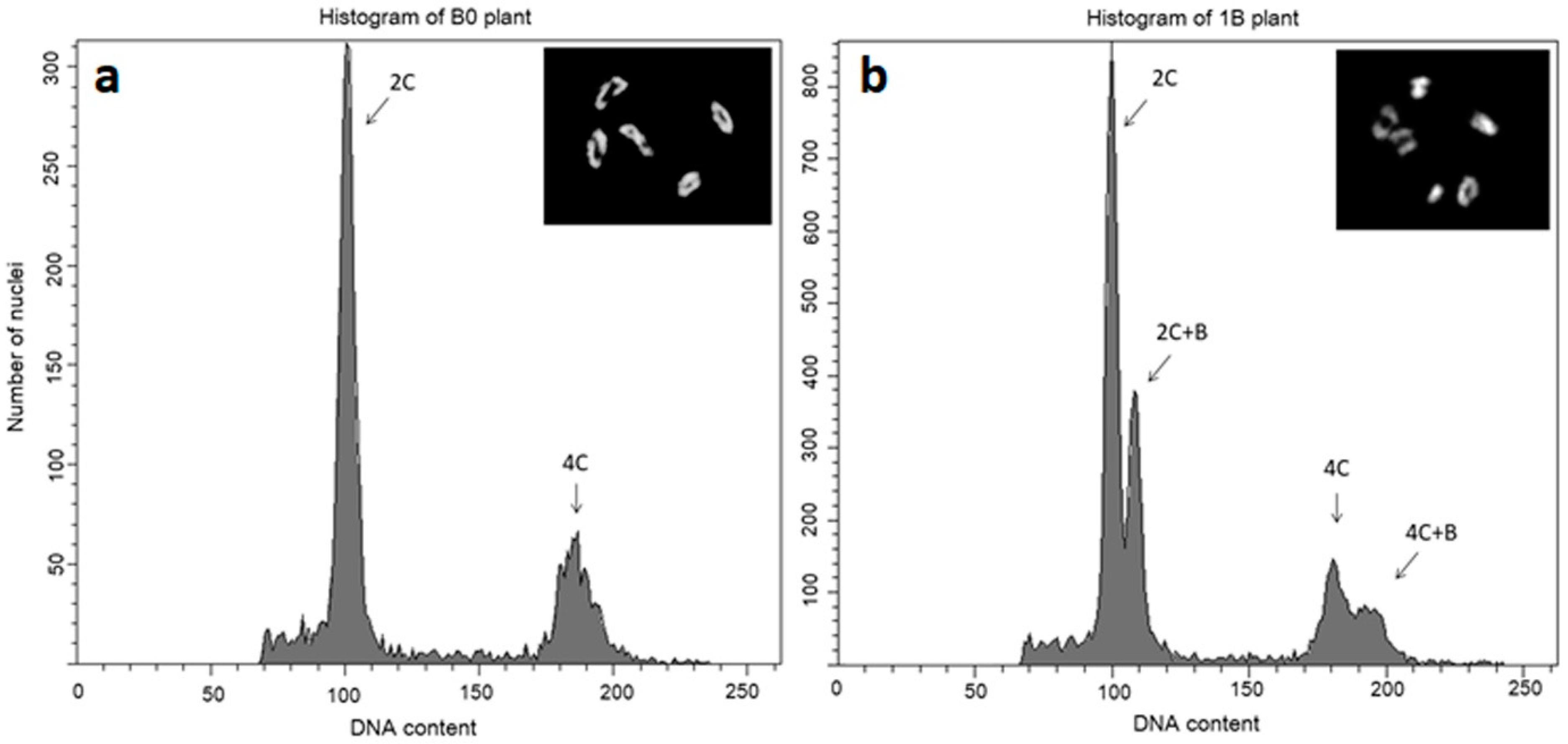 Plants 10 00505 g002