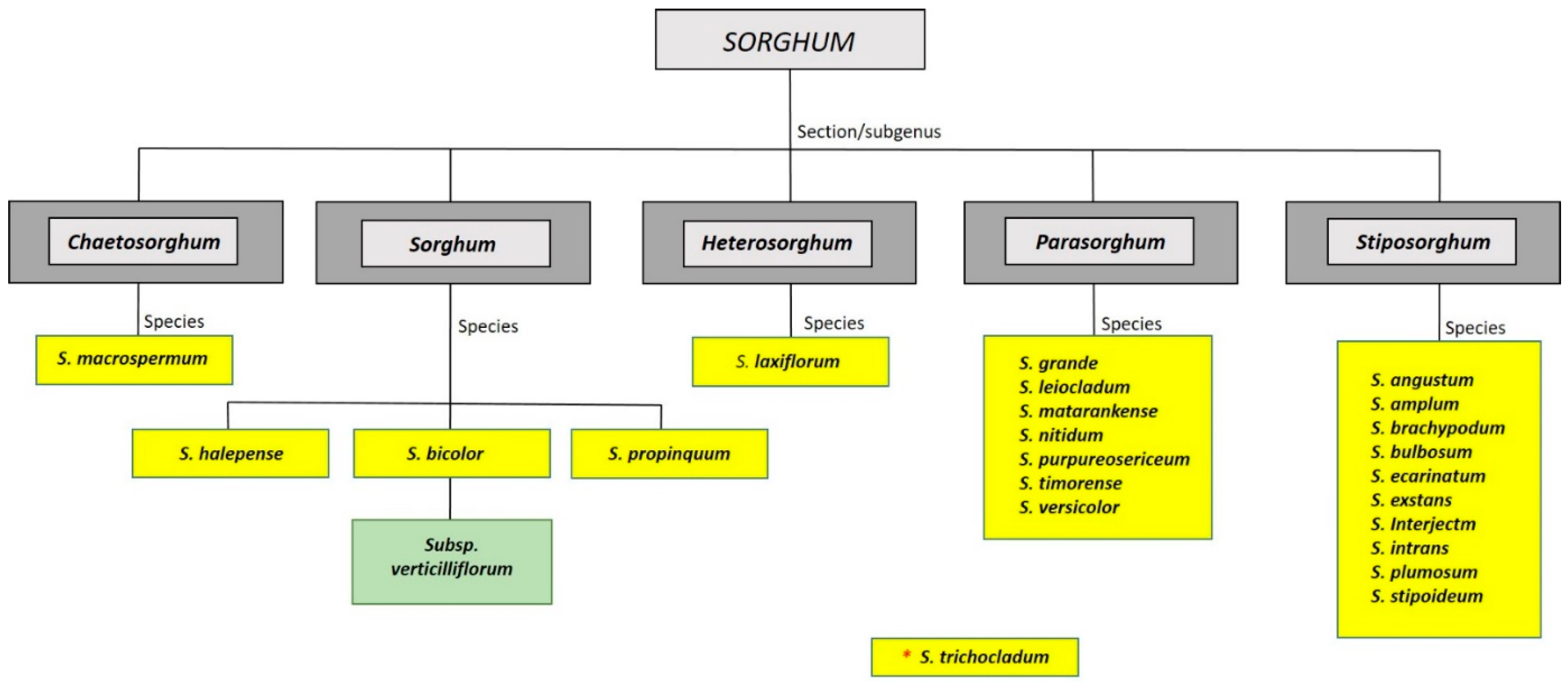 Plants 10 00505 g003