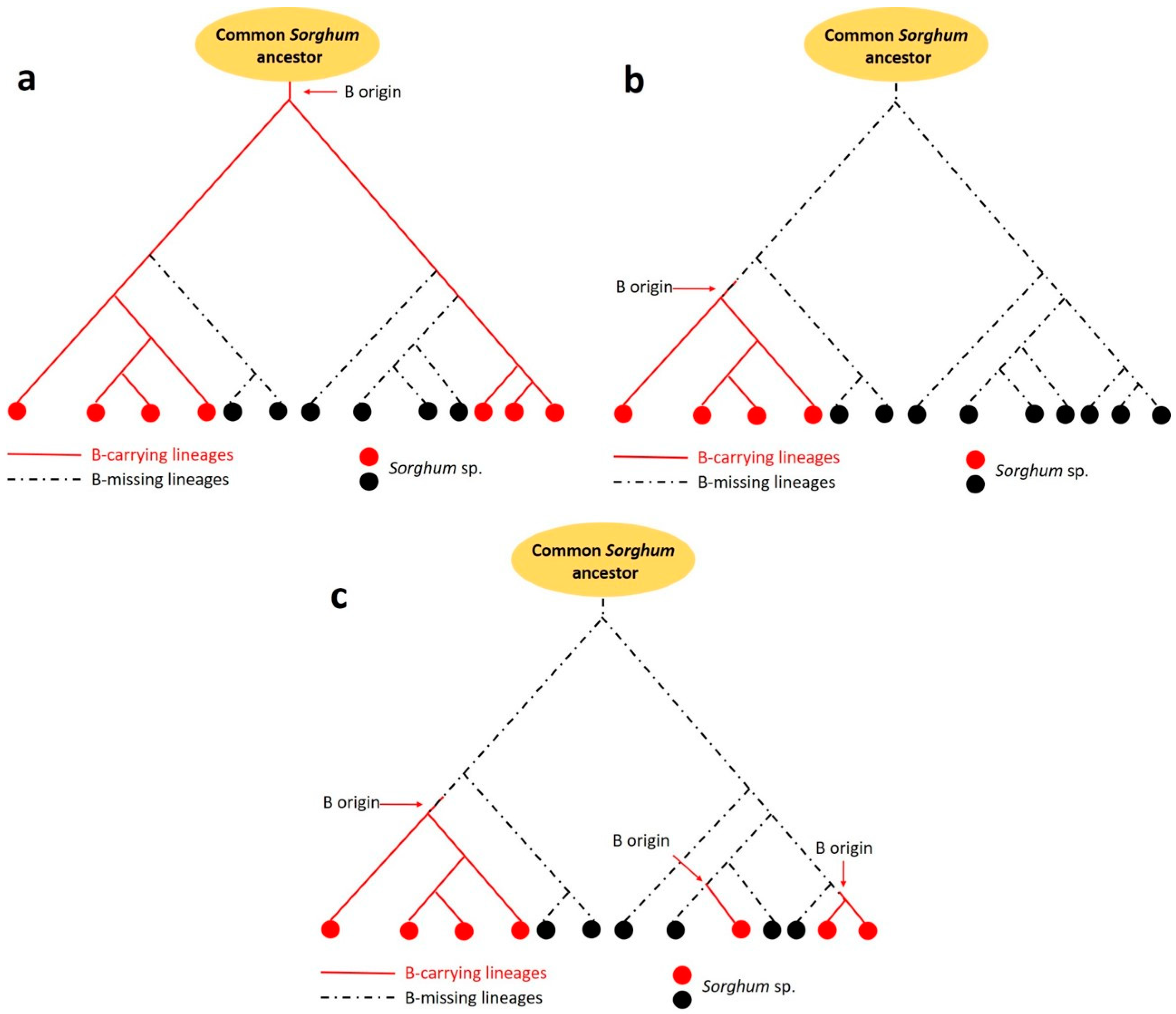 Plants 10 00505 g005