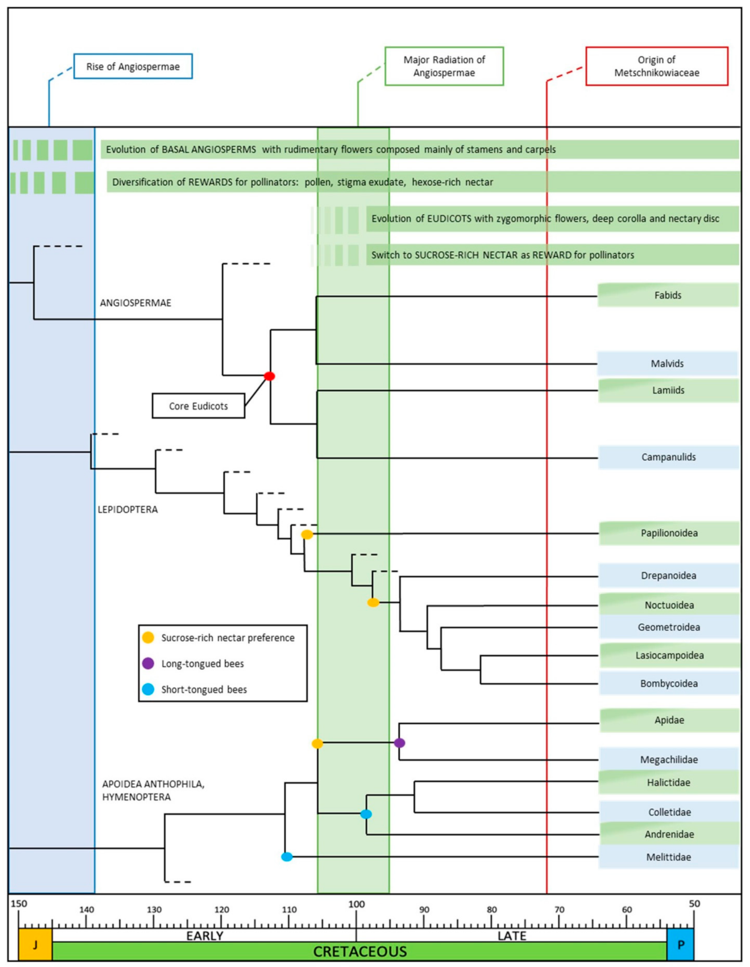 Plants 10 00507 g001 Plants 10 00507 g001