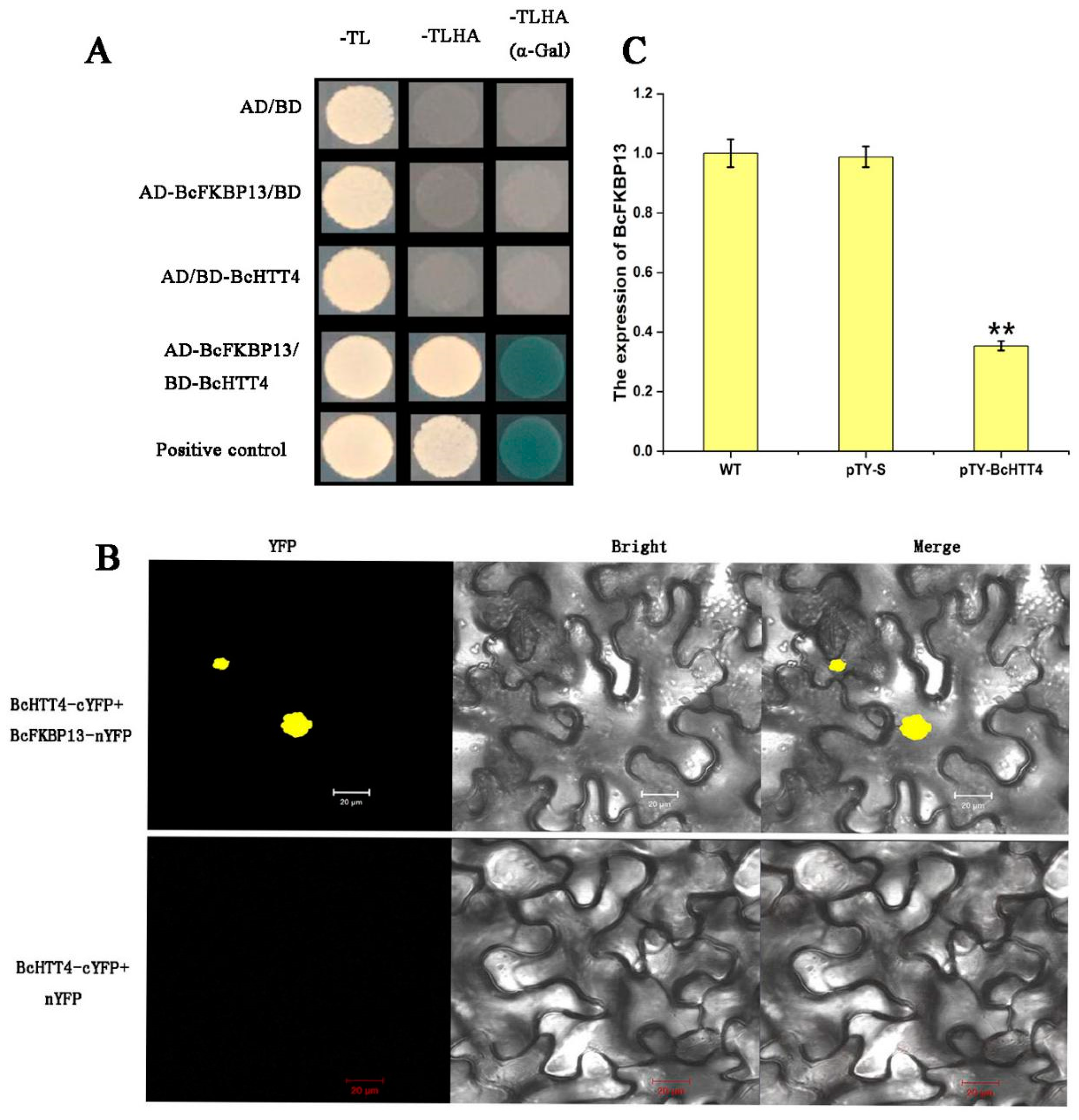 Plants 10 00510 g005