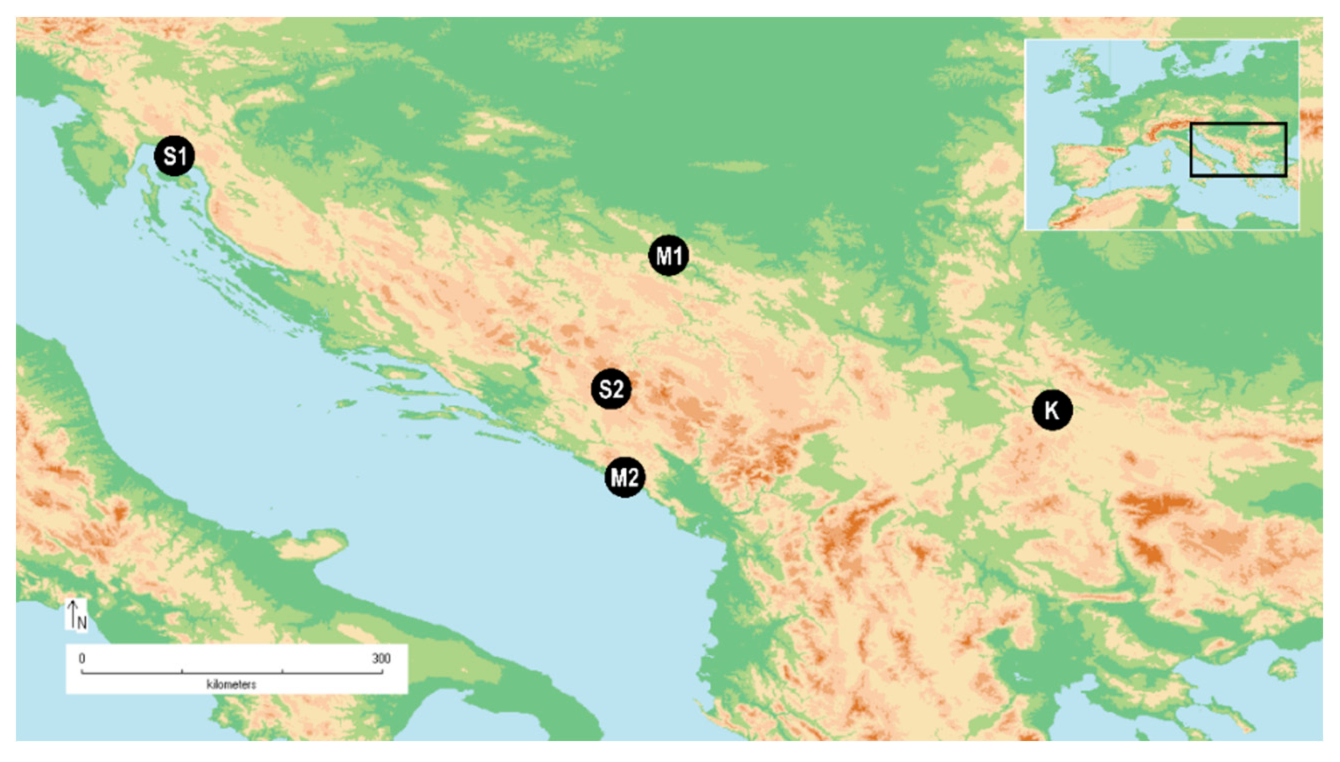 Plants 10 00511 g001