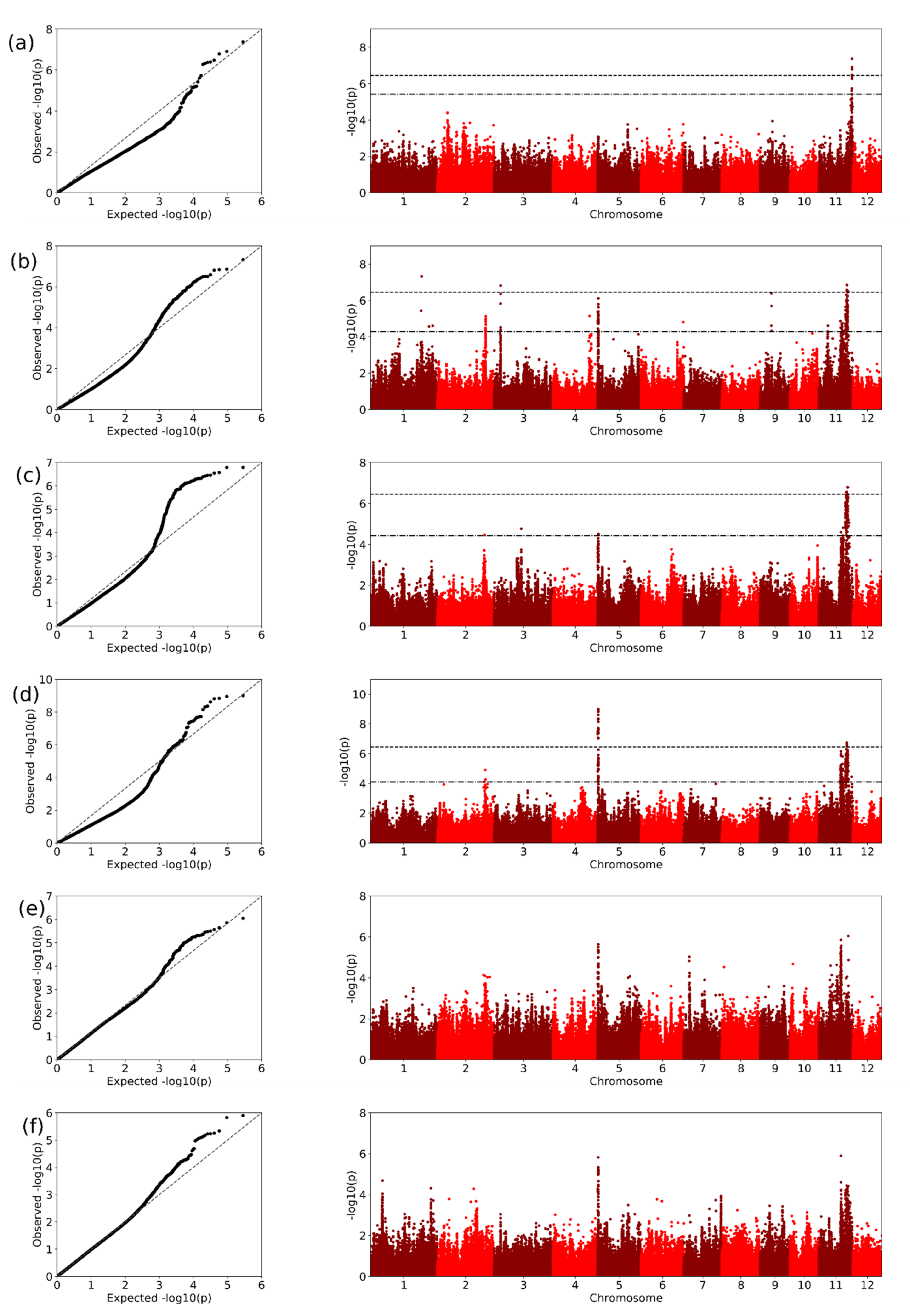 Plants Free Full Text Identification Of Bacterial Blight Resistance Loci In Rice Oryza Sativa L Against Diverse Xoo Thai Strains By Genome Wide Association Study Html Plants Free Full Text Identification Of Bacterial Blight Resistance Loci In Rice Oryza Sativa L Against Diverse Xoo Thai Strains By Genome Wide Association Study Html