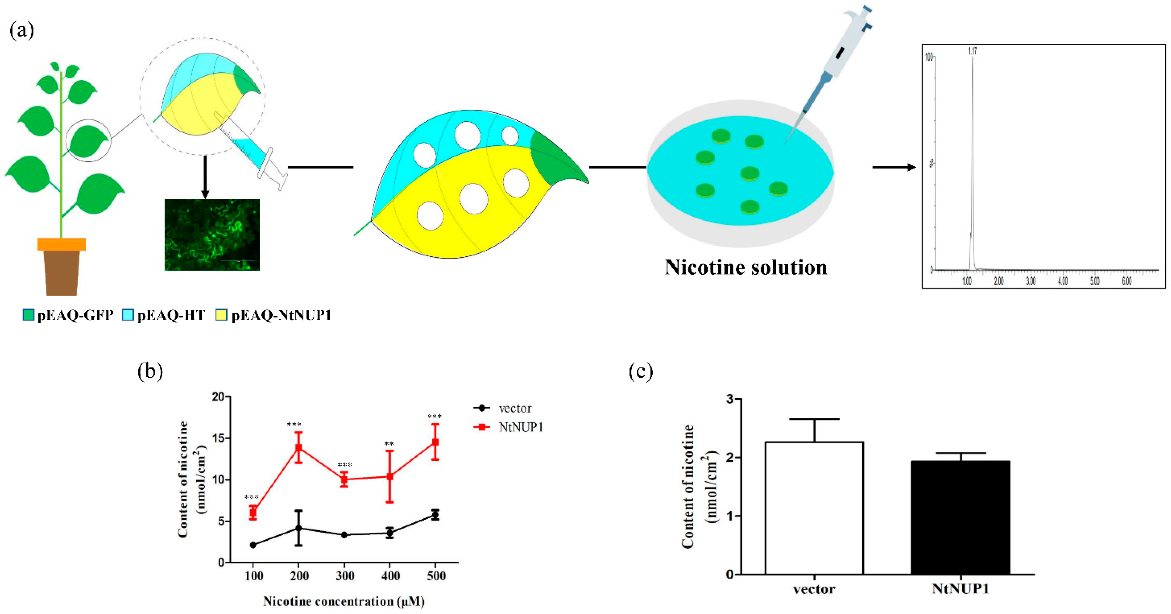 Plants 10 00524 g001 Plants 10 00524 g001