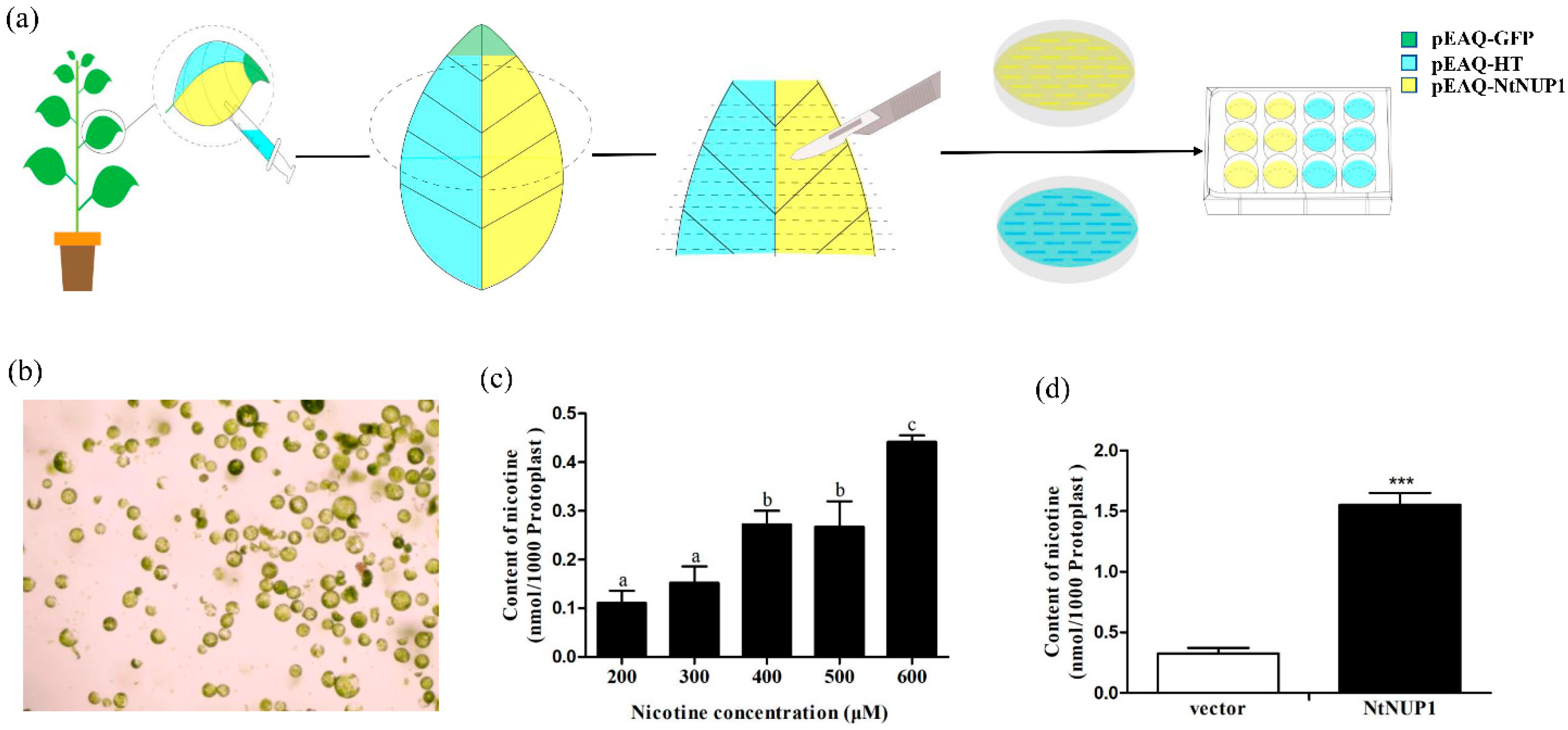 Plants 10 00524 g002 Plants 10 00524 g002