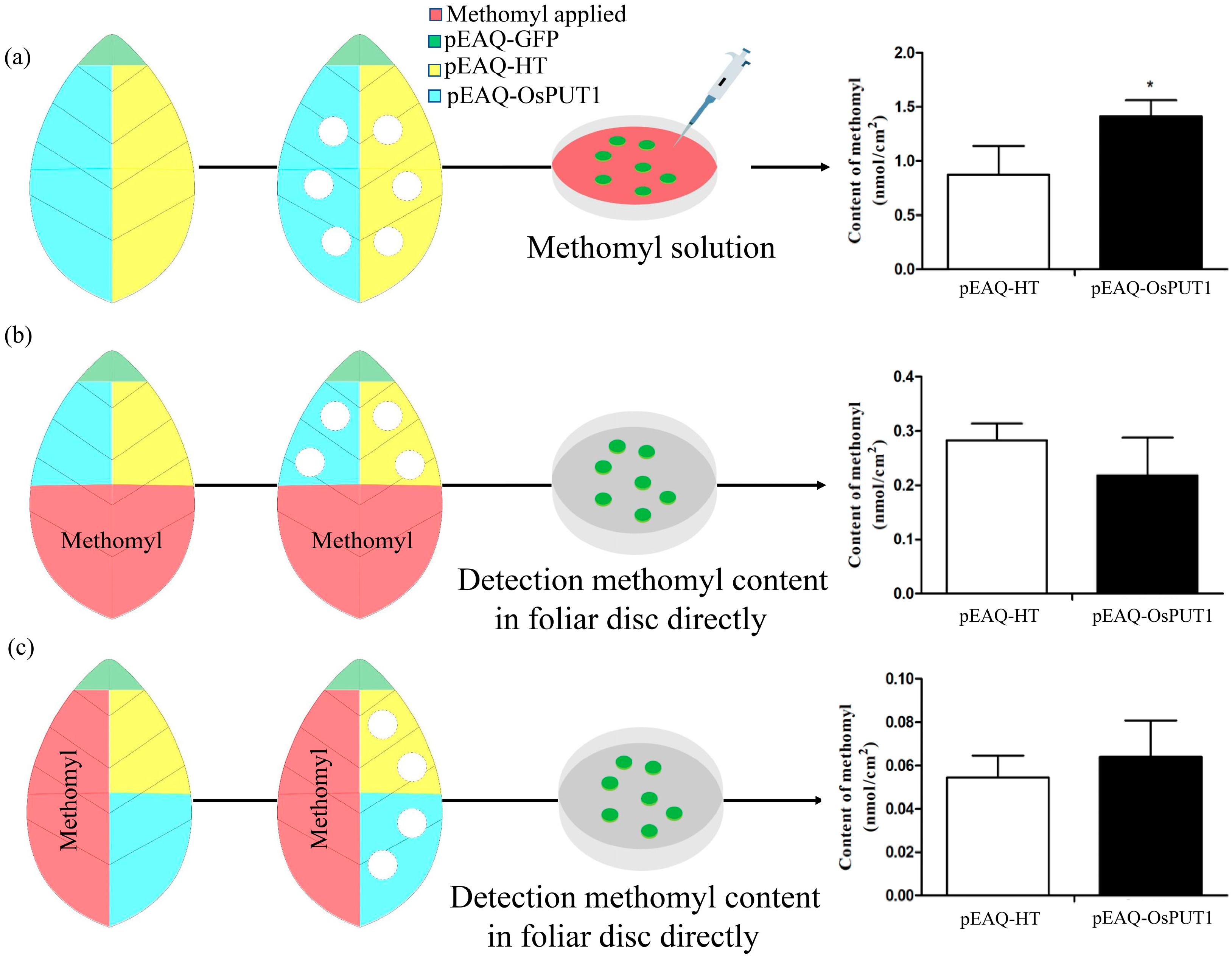 Plants 10 00524 g005 Plants 10 00524 g005