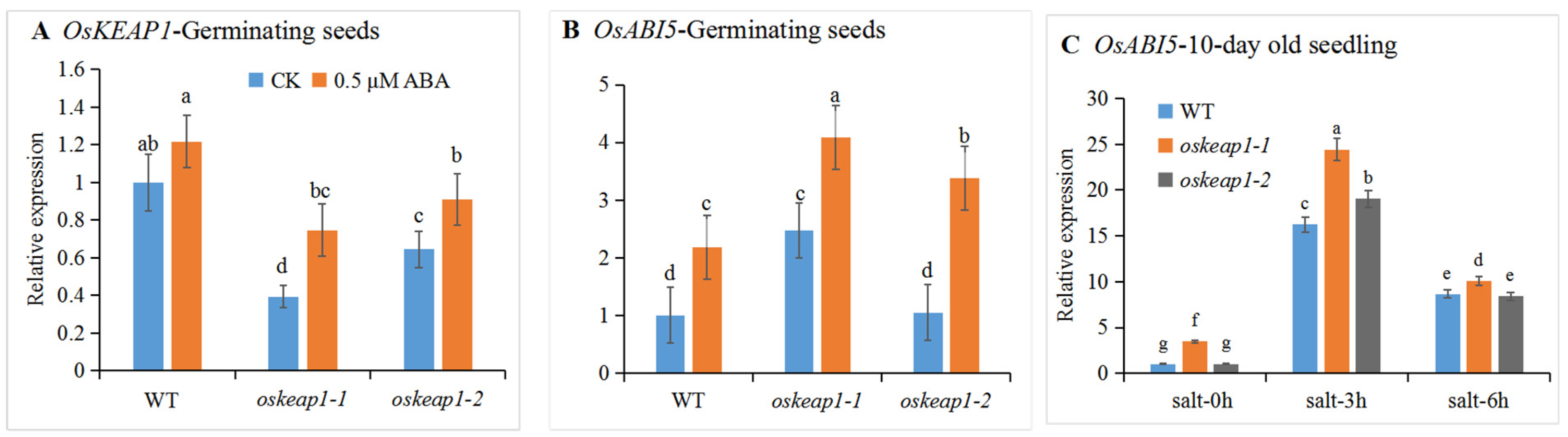 Plants 10 00527 g003 Plants 10 00527 g003