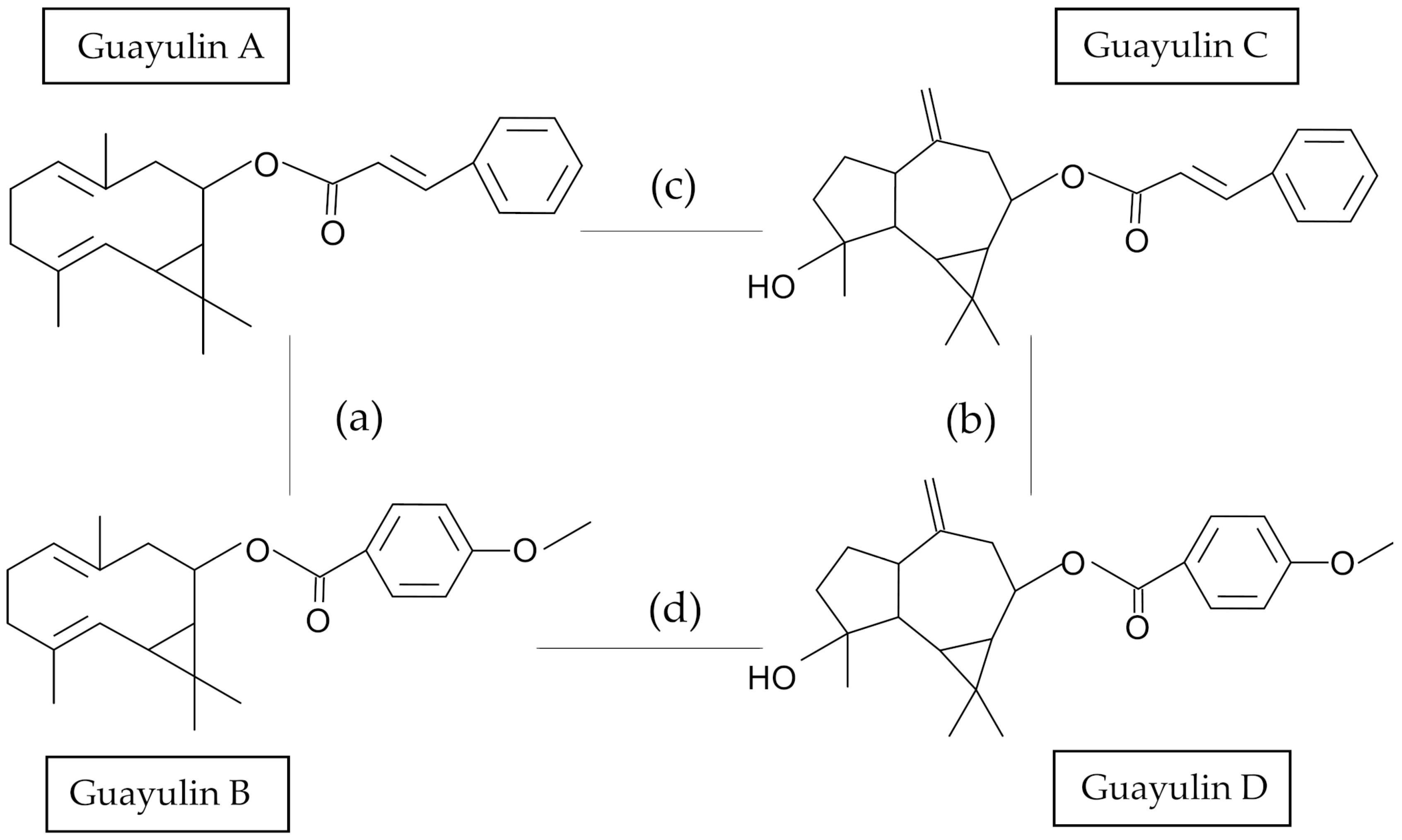 Plants 10 00537 g001