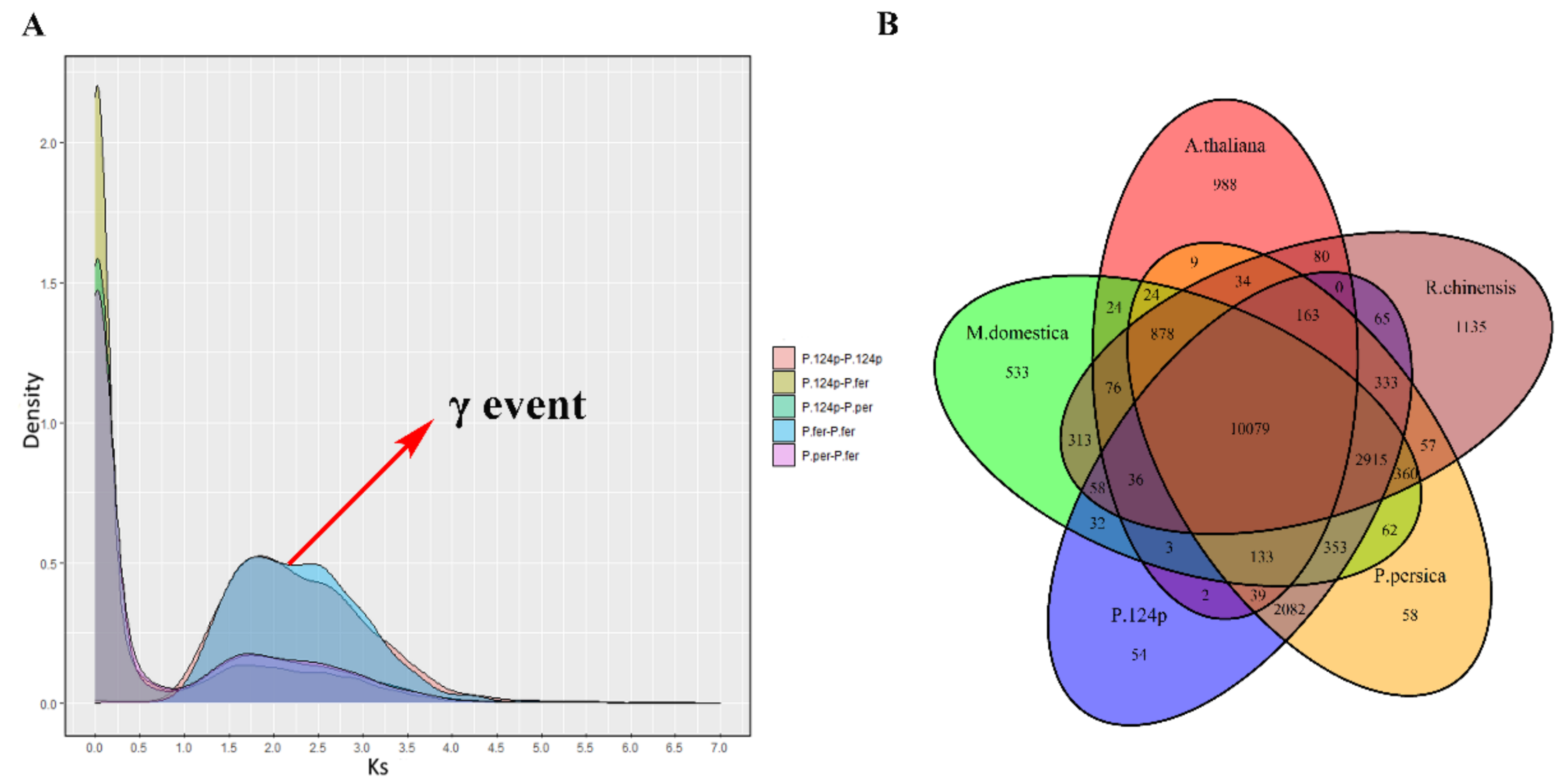 Plants 10 00538 g004