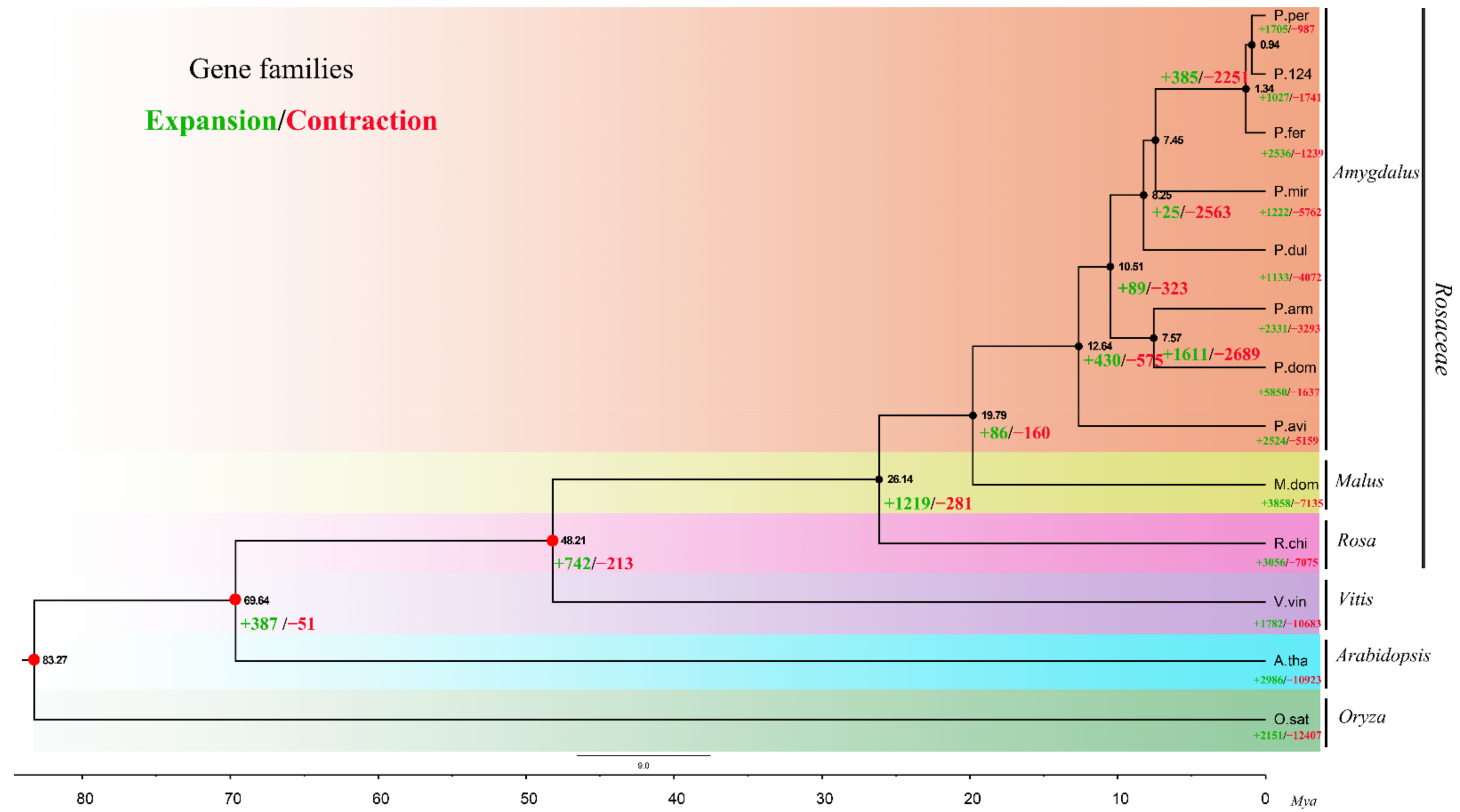 Plants 10 00538 g005