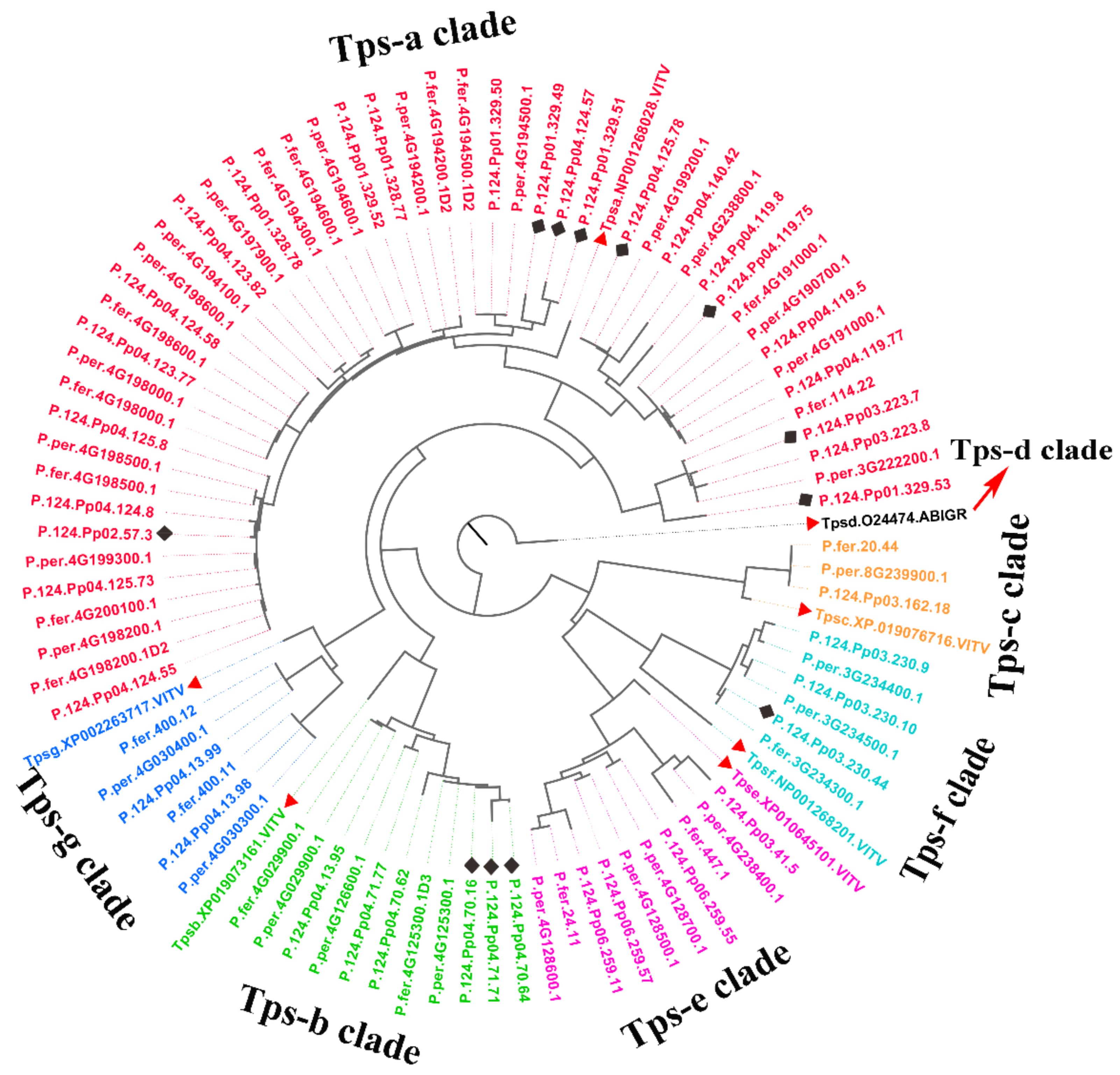 Plants 10 00538 g006