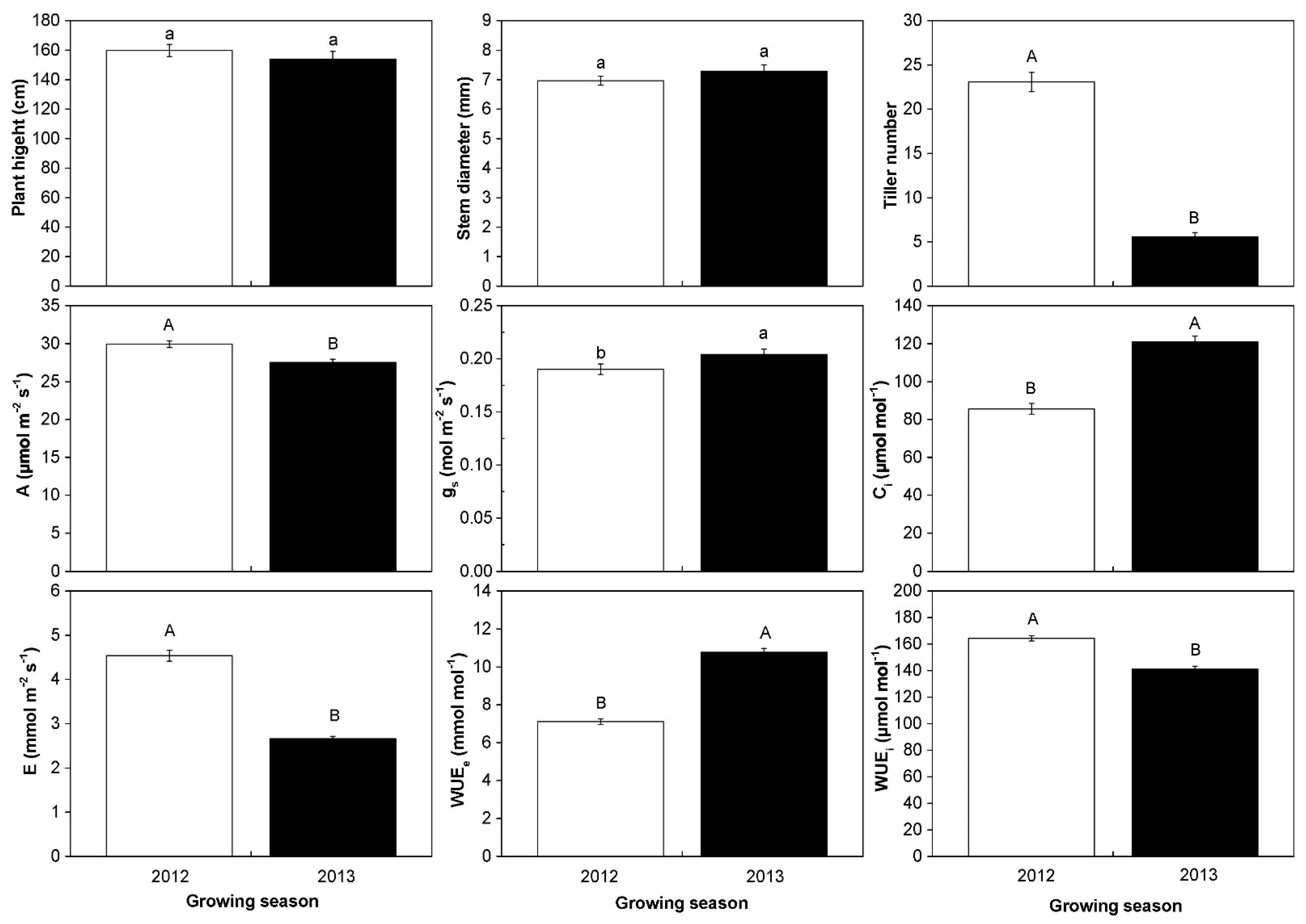 Plants 10 00544 g004