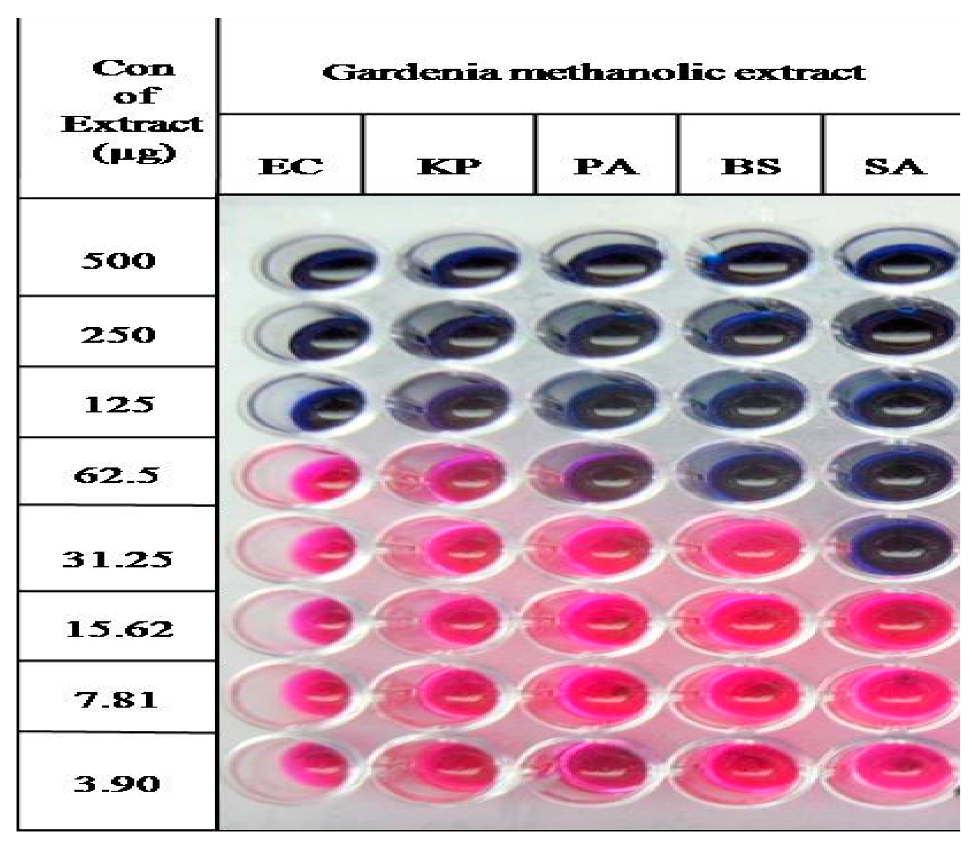 Plants 10 00545 g005