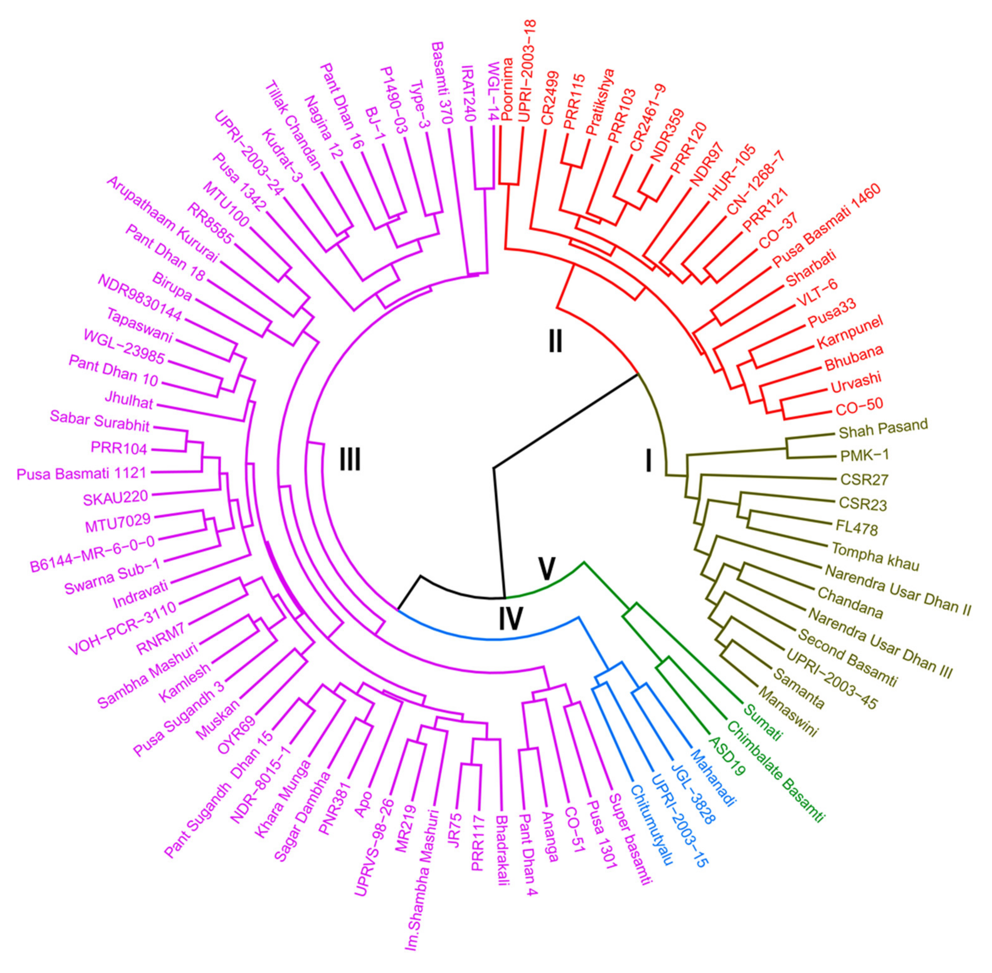 Plants 10 00559 g002