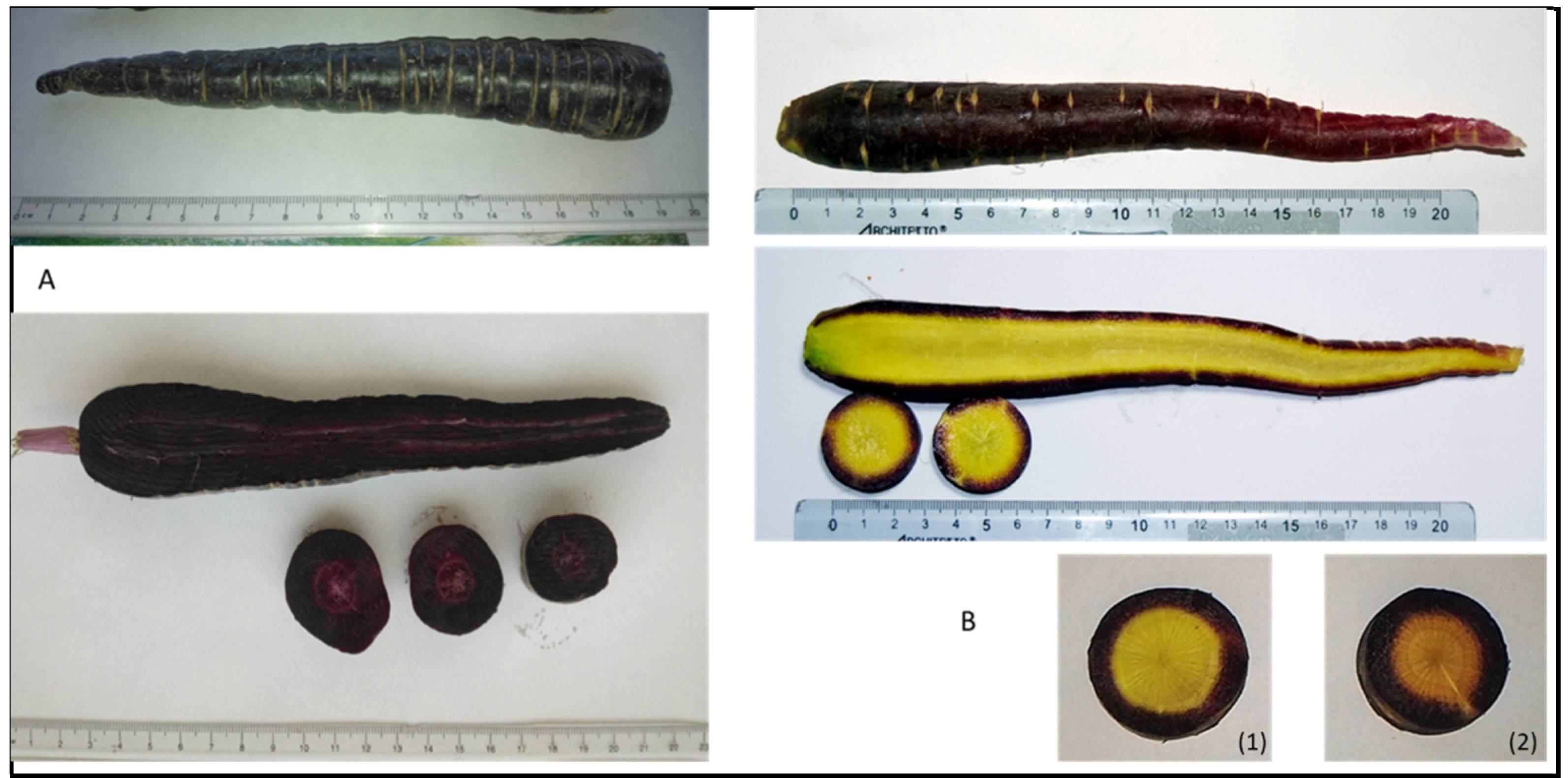 Plants 10 00564 g002 Plants 10 00564 g002