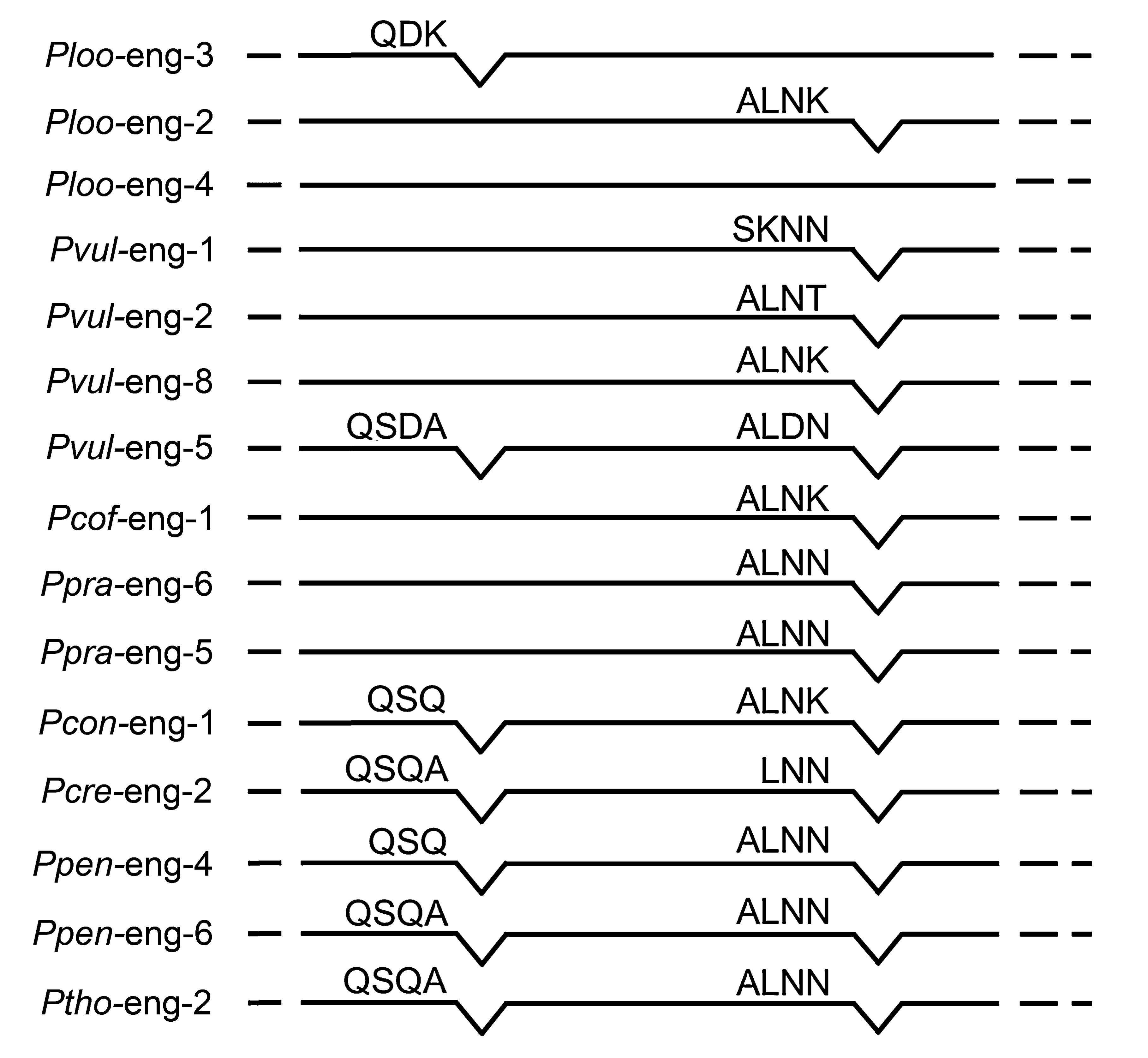 Plants 10 00568 g001