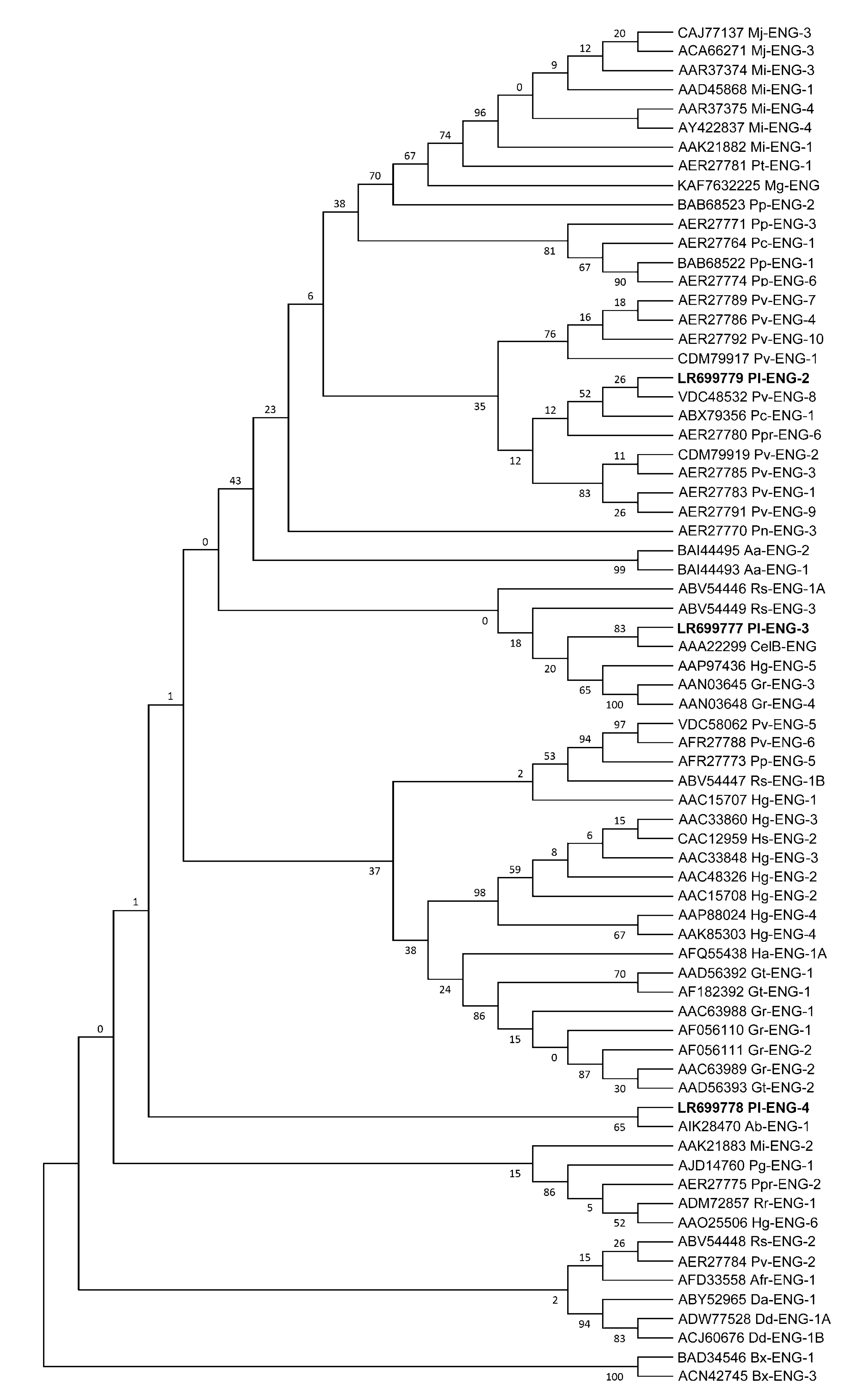 Plants 10 00568 g002
