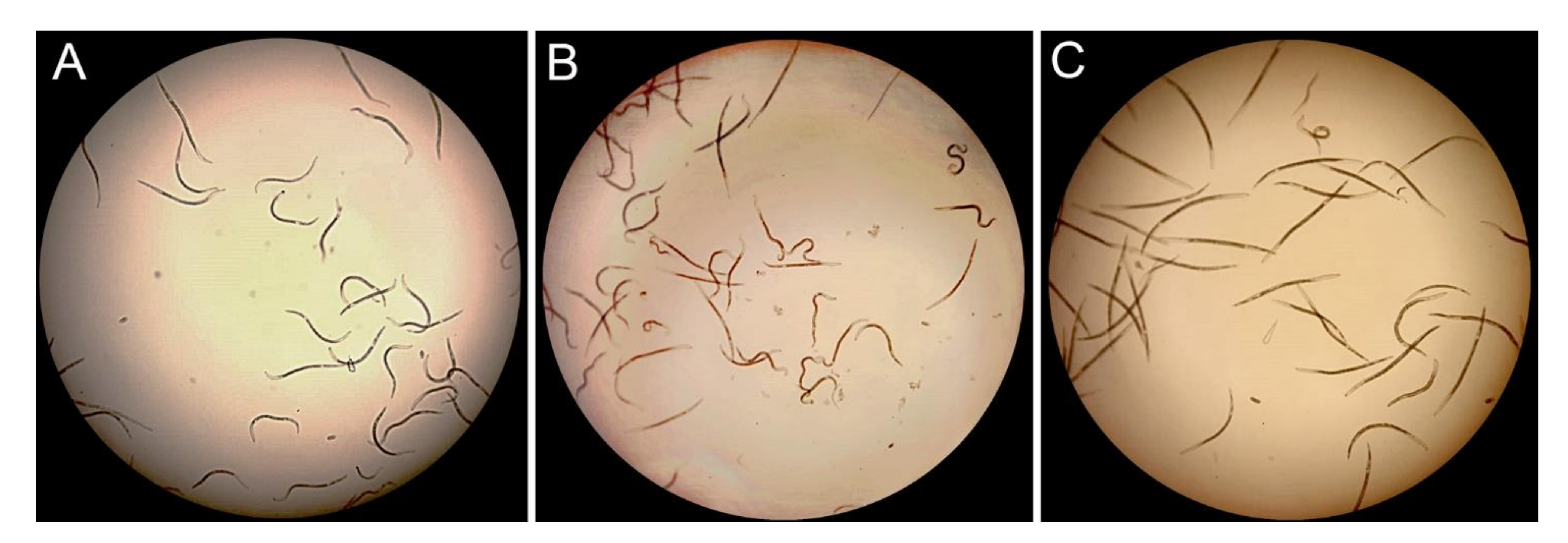 Plants 10 00568 g006
