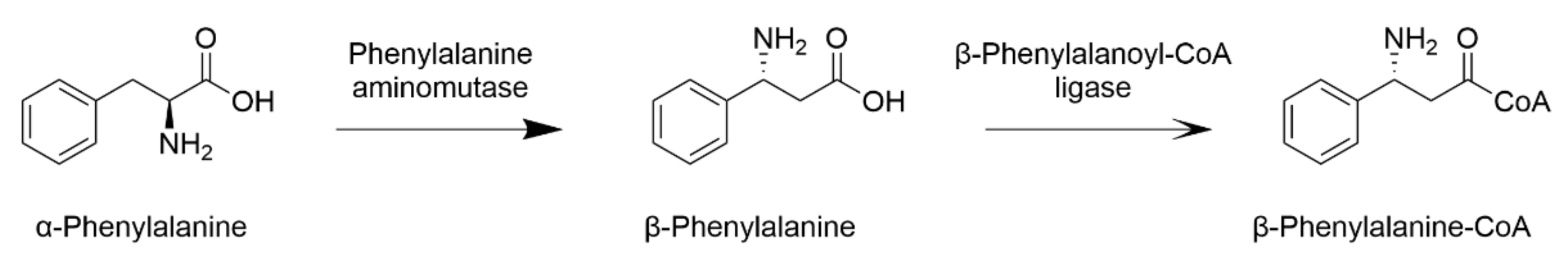 Plants 10 00569 g006 Plants 10 00569 g006