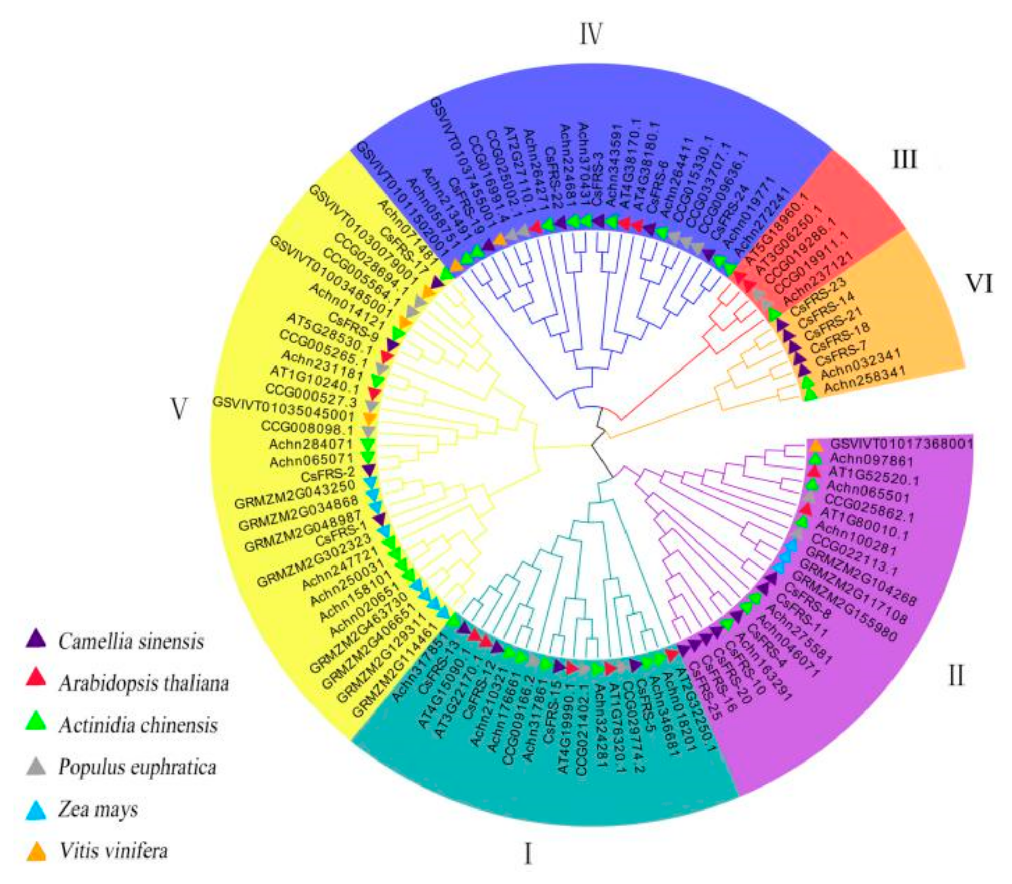 Plants 10 00570 g001