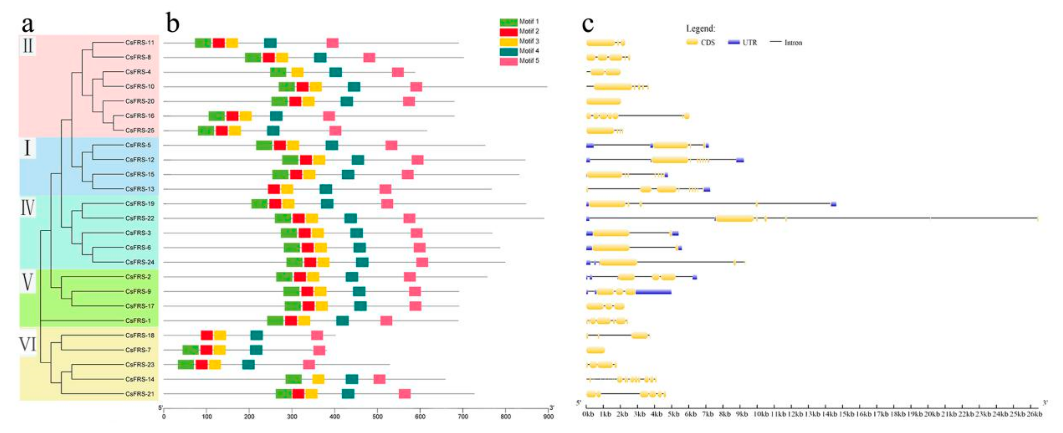 Plants 10 00570 g002