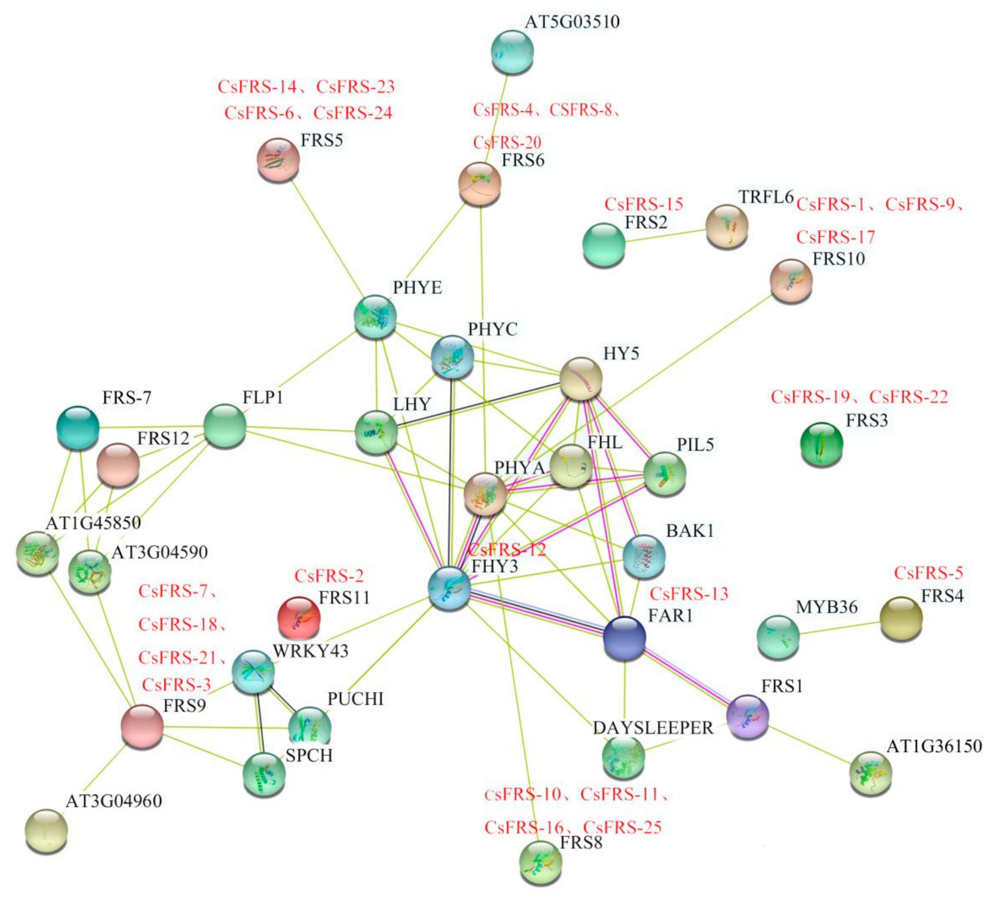 Plants 10 00570 g004
