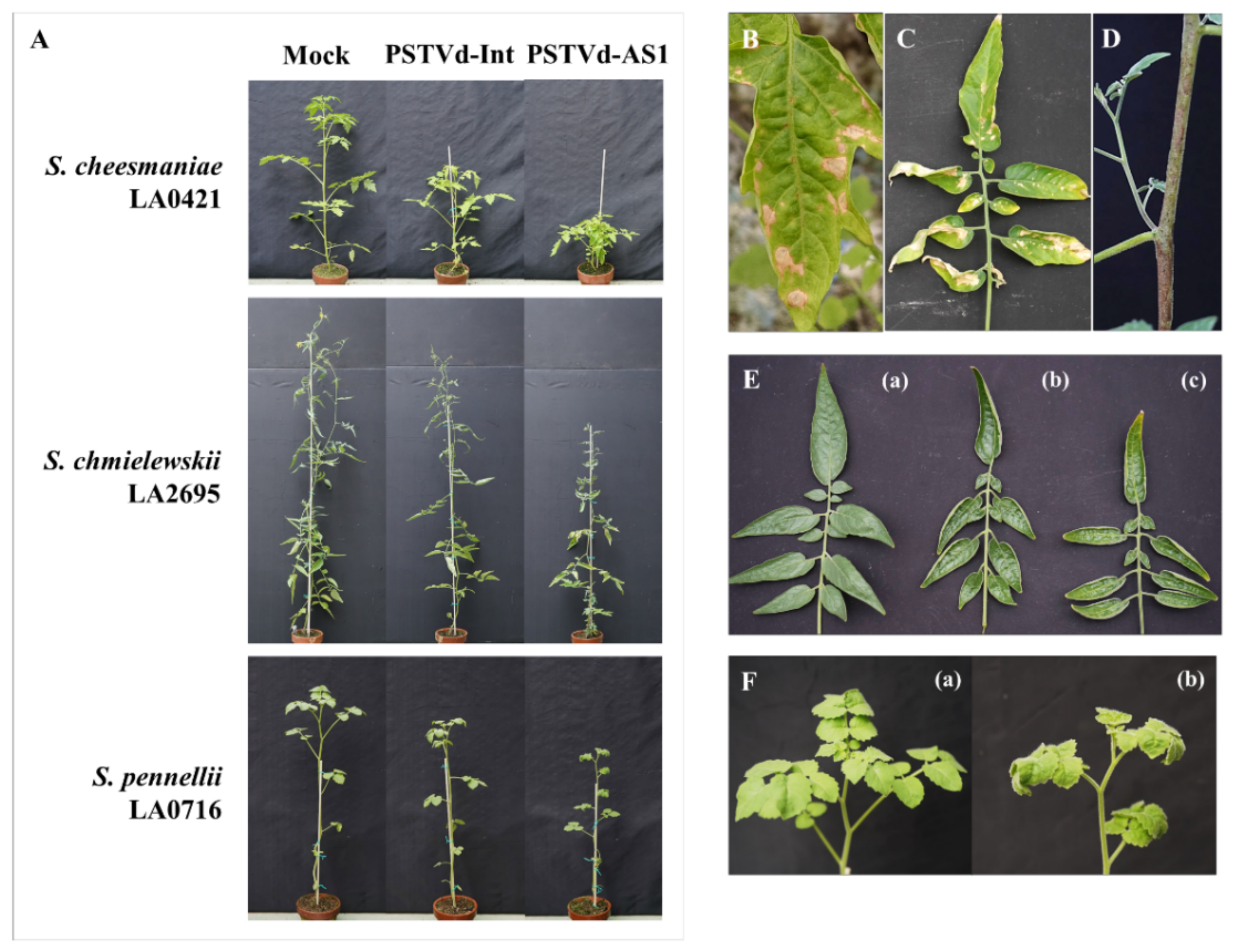 Plants 10 00575 g004