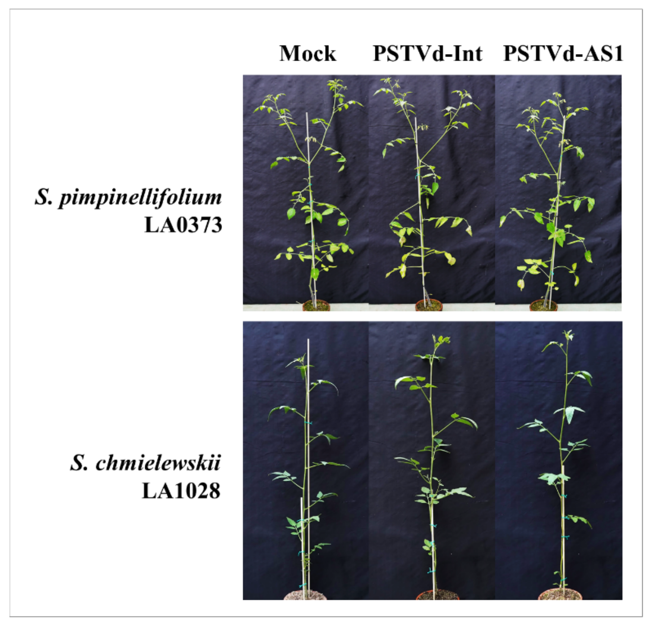 Plants 10 00575 g005