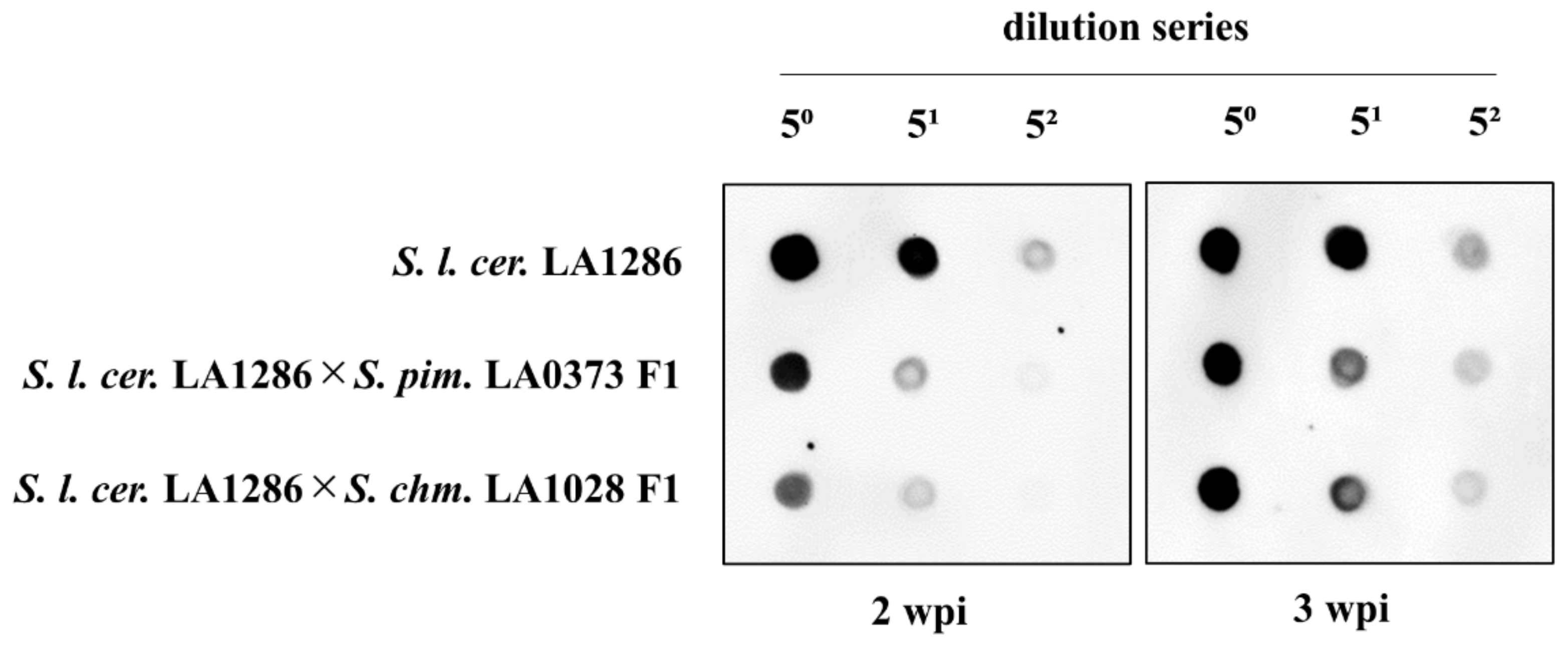 Plants 10 00575 g008