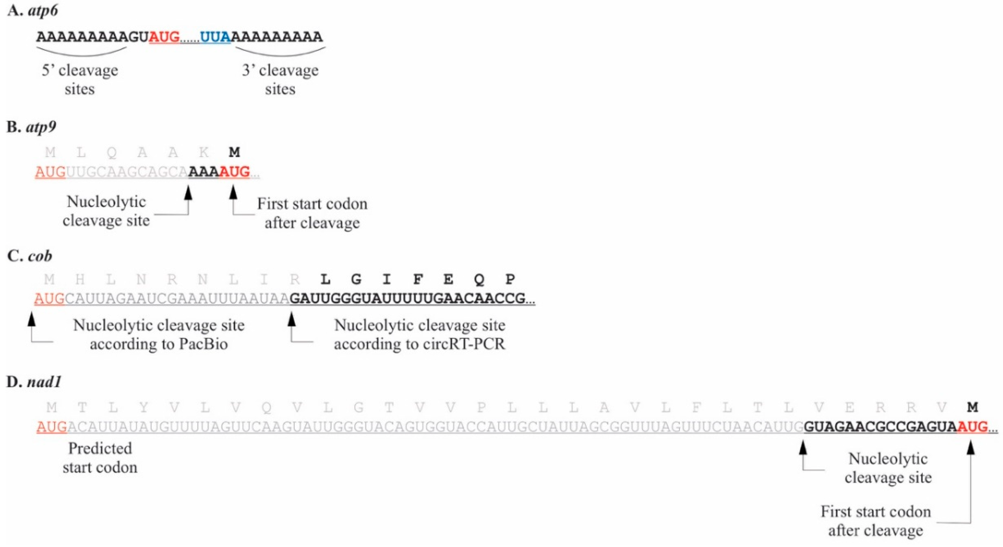 Plants 10 00576 g001