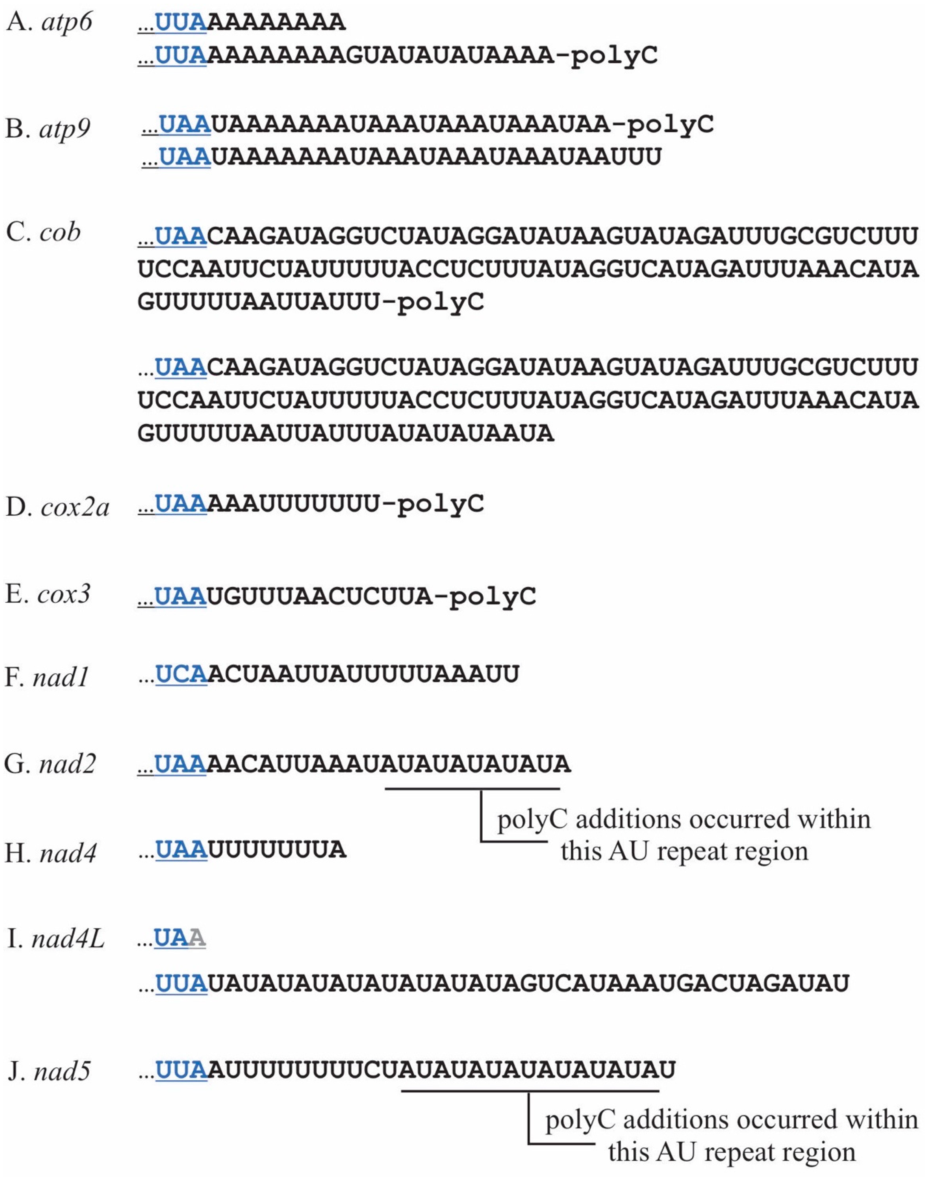 Plants 10 00576 g002