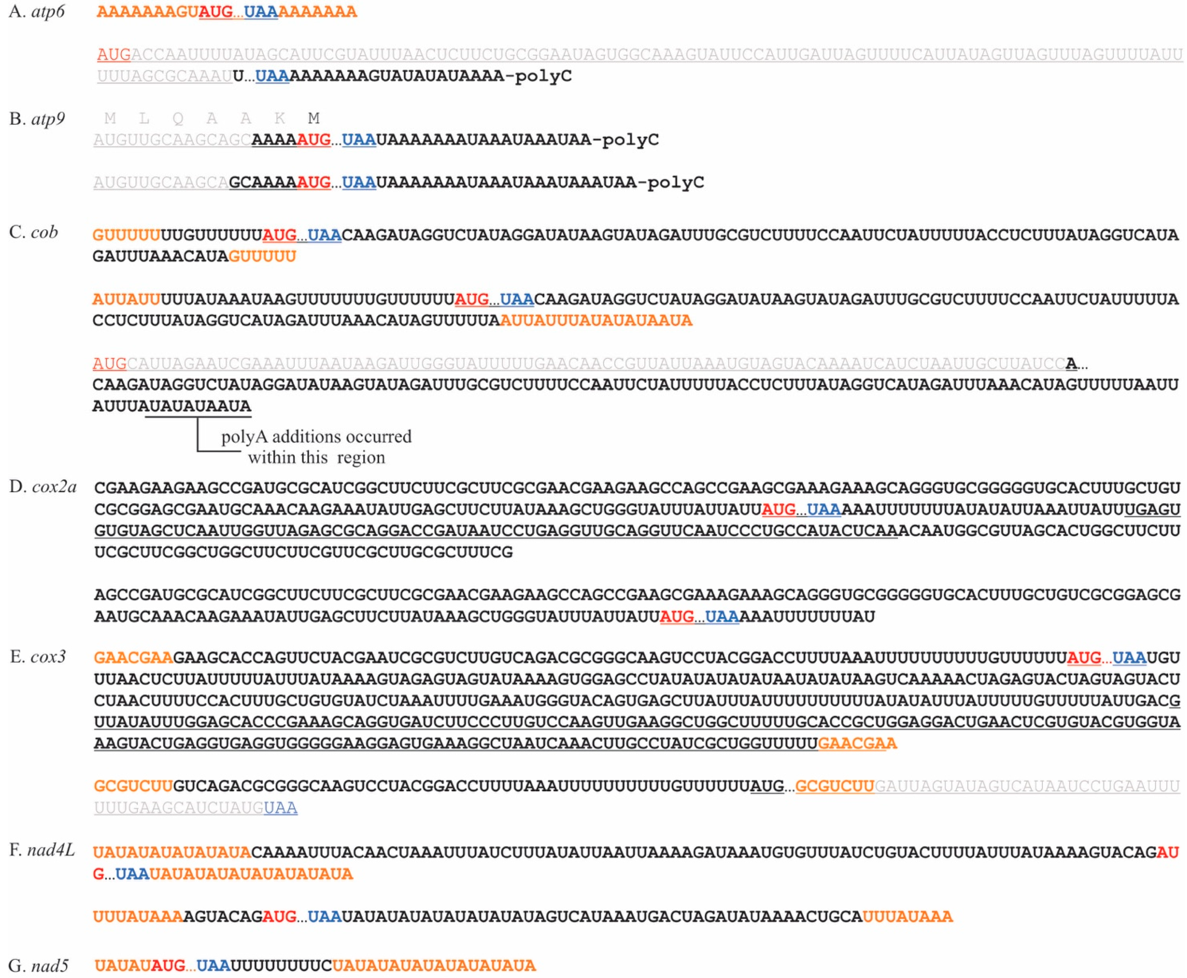 Plants 10 00576 g003