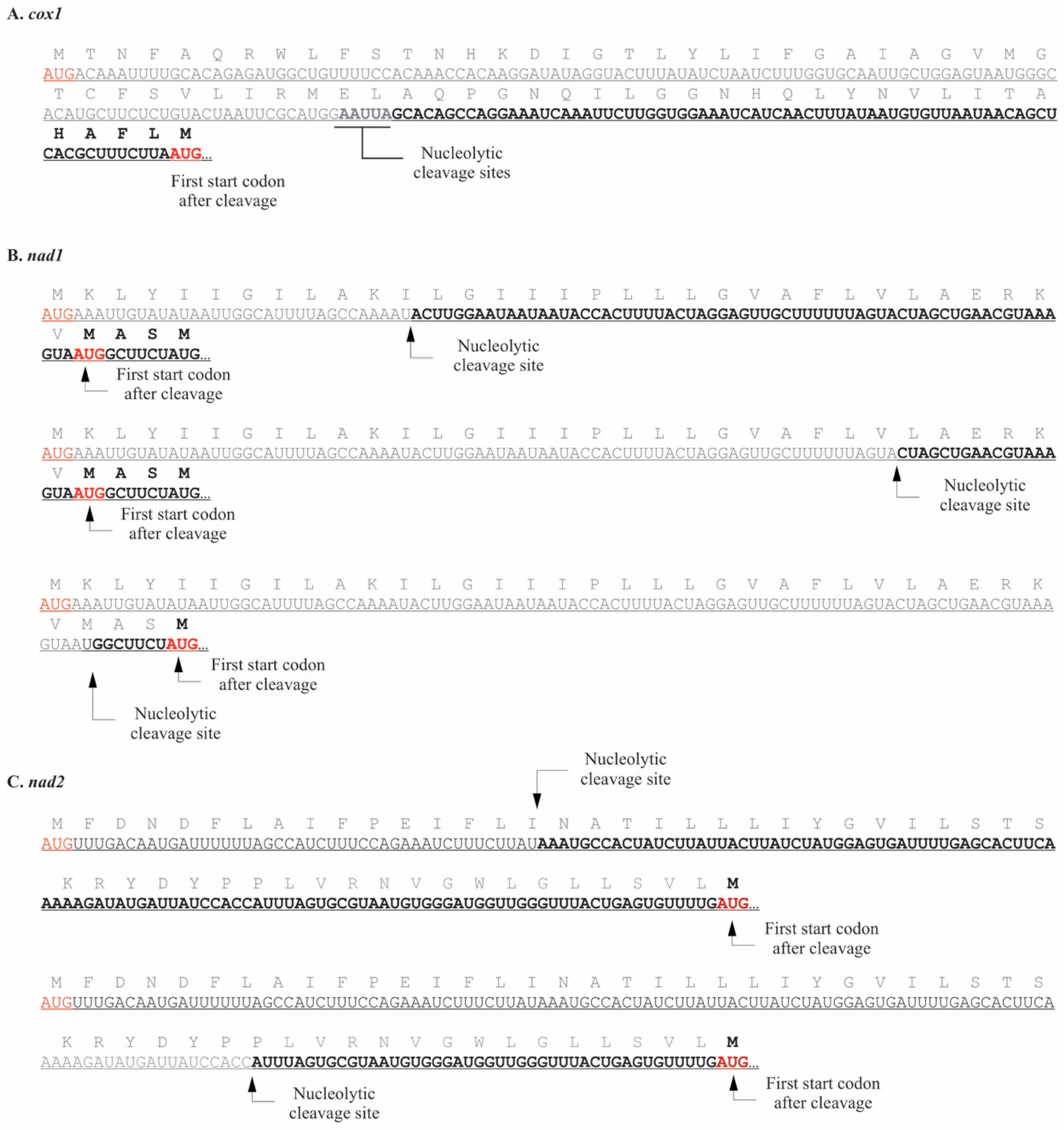 Plants 10 00576 g005