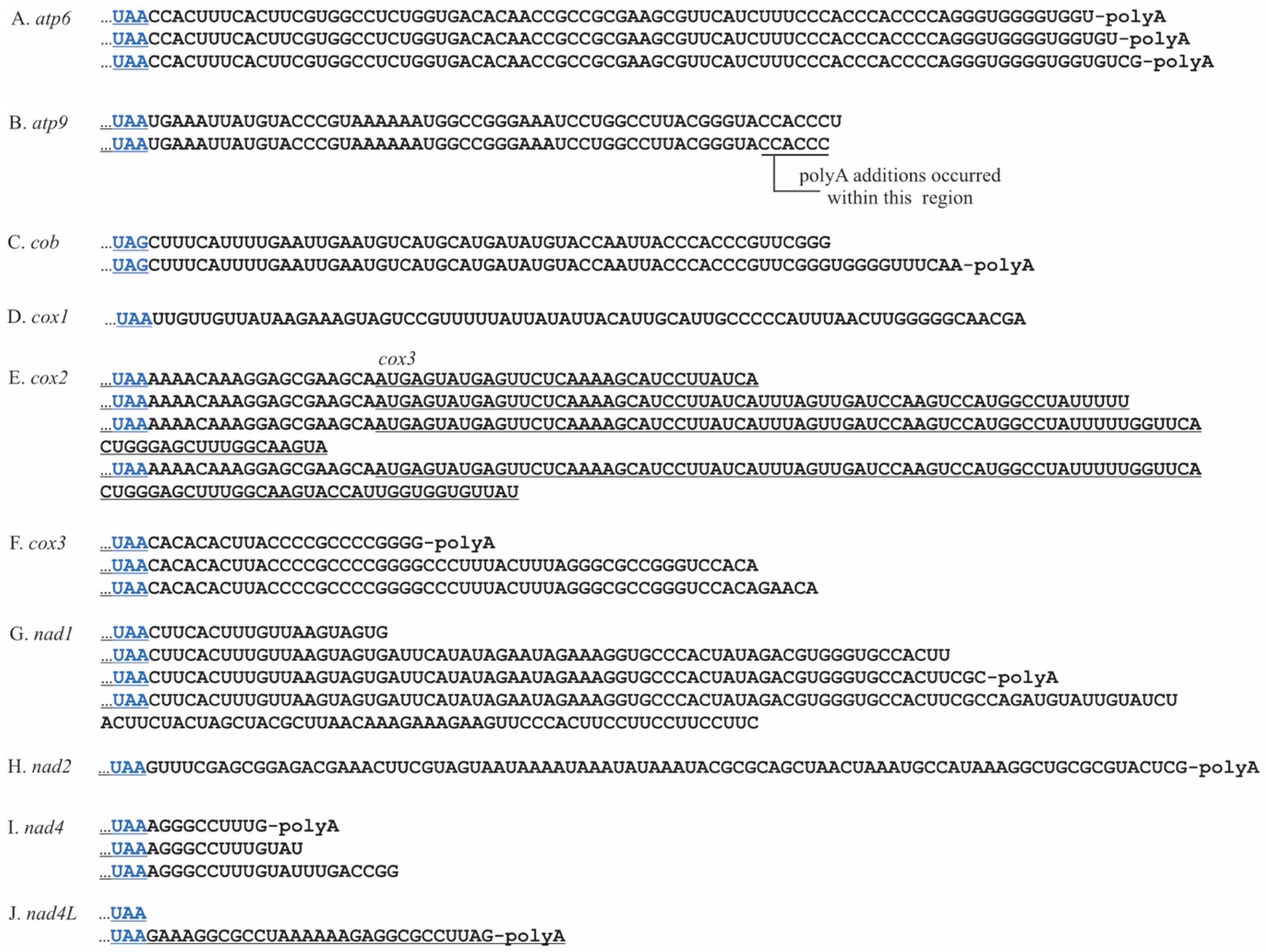 Plants 10 00576 g006