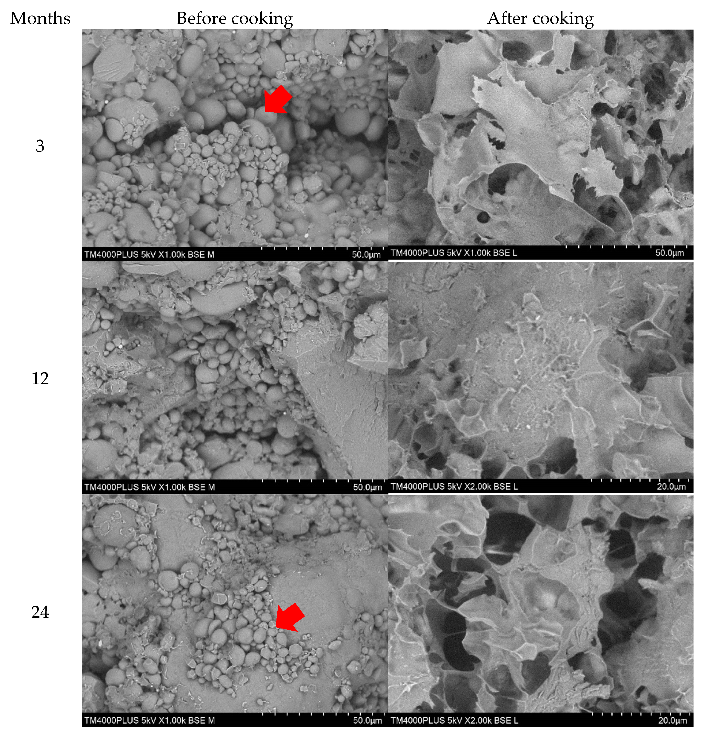 Plants 10 00578 g005