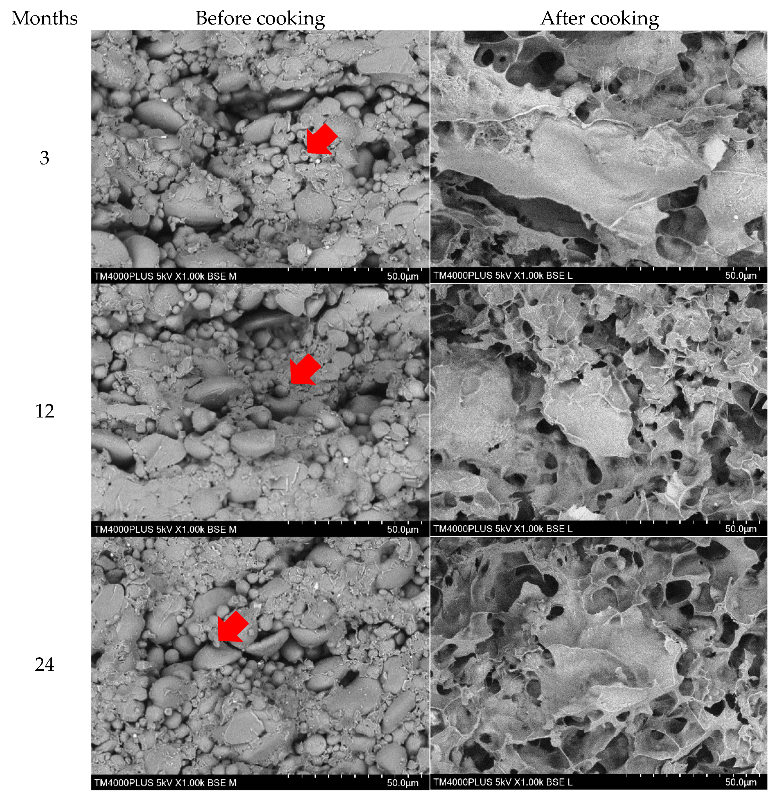Plants 10 00578 g006