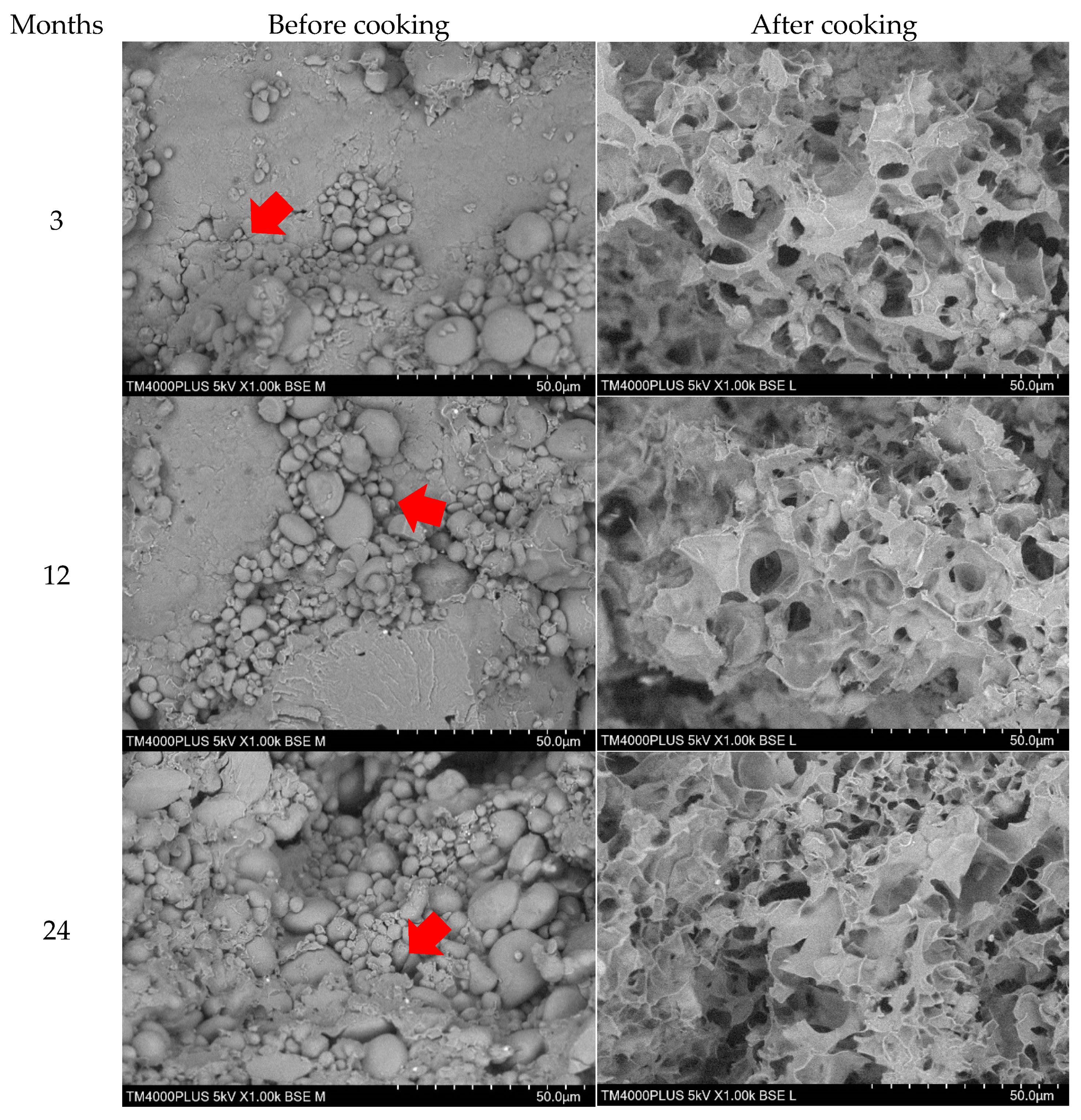 Plants 10 00578 g007