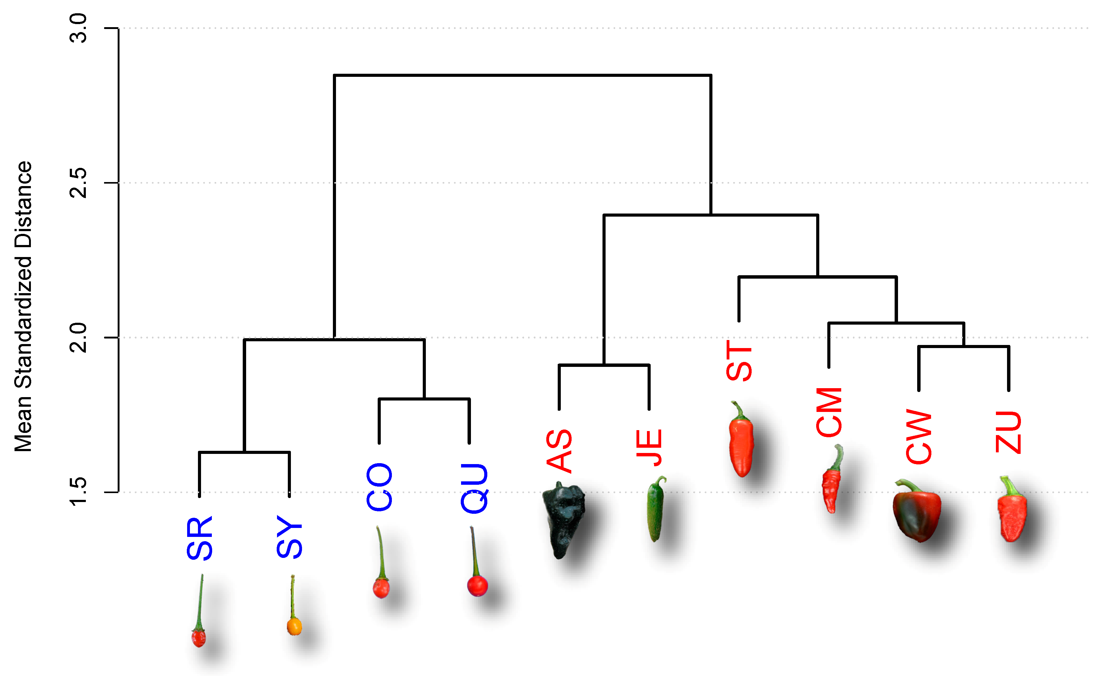 Plants 10 00585 g001 Plants 10 00585 g001