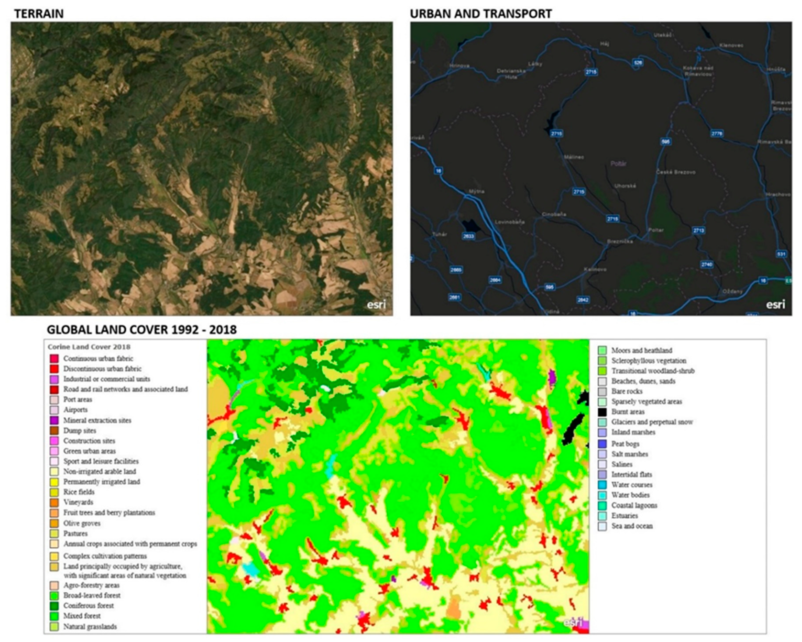 Plants 10 00588 g002 Plants 10 00588 g002