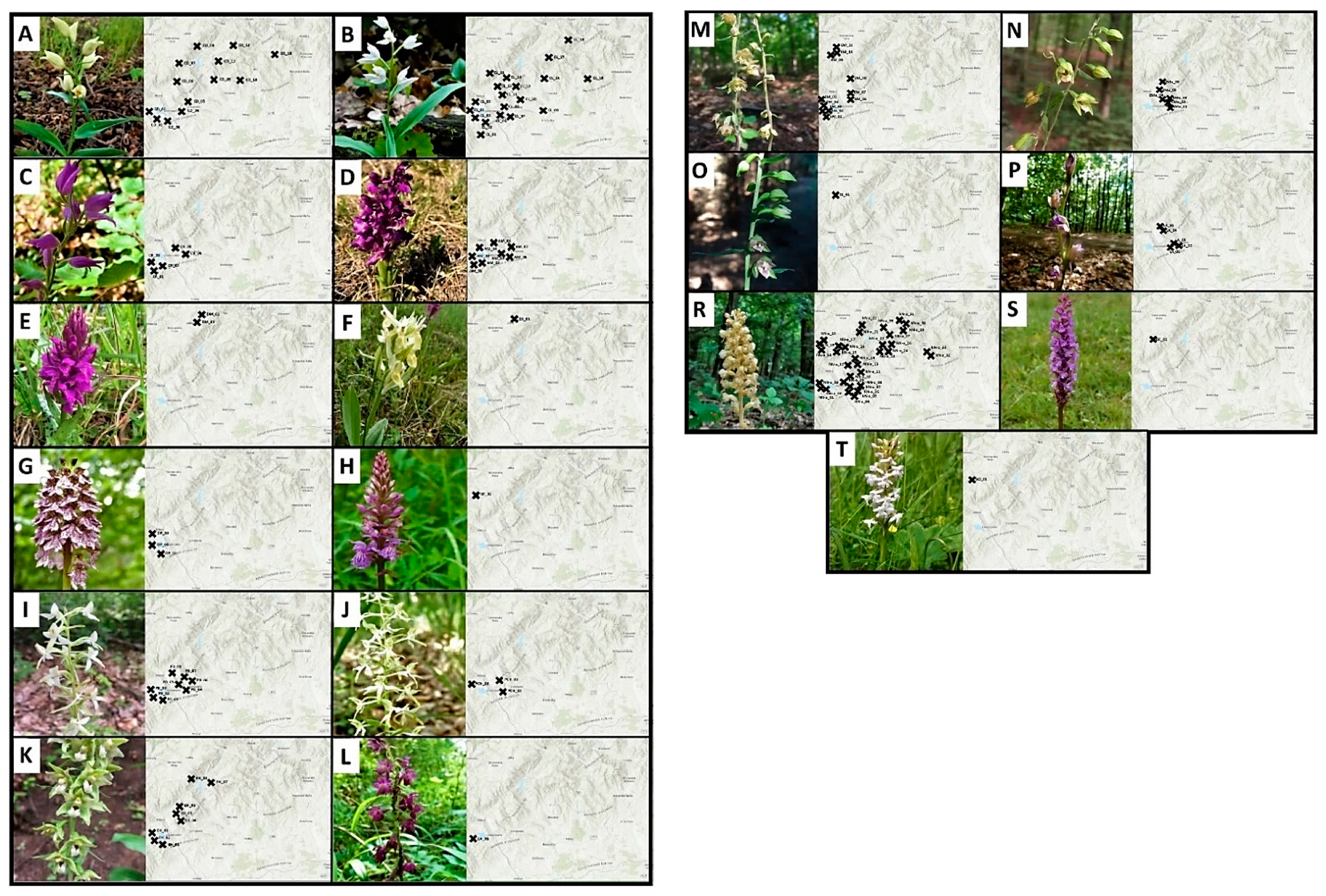 Plants 10 00588 g004 Plants 10 00588 g004