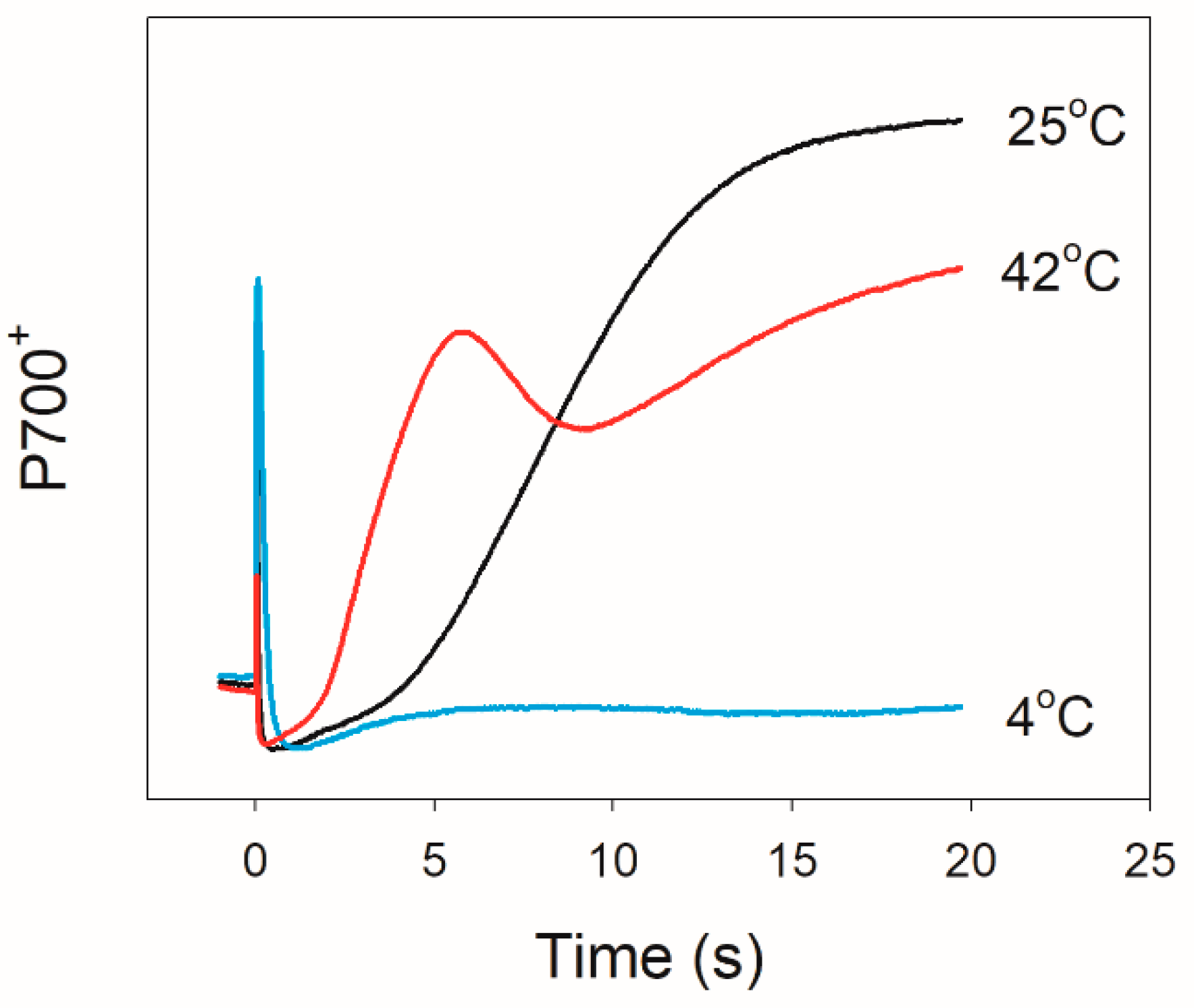 Plants 10 00606 g001