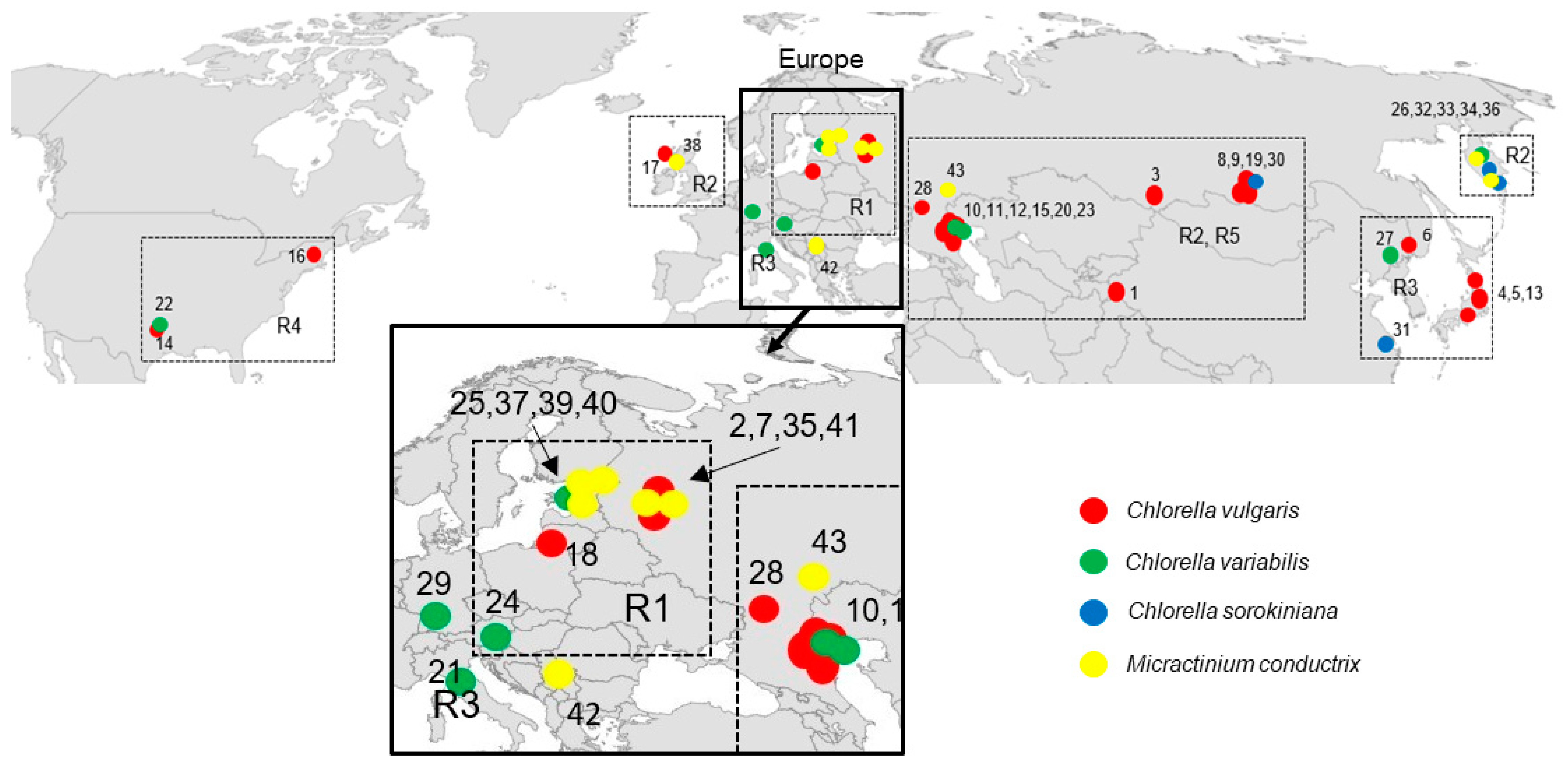 Plants 10 00609 g001 Plants 10 00609 g001