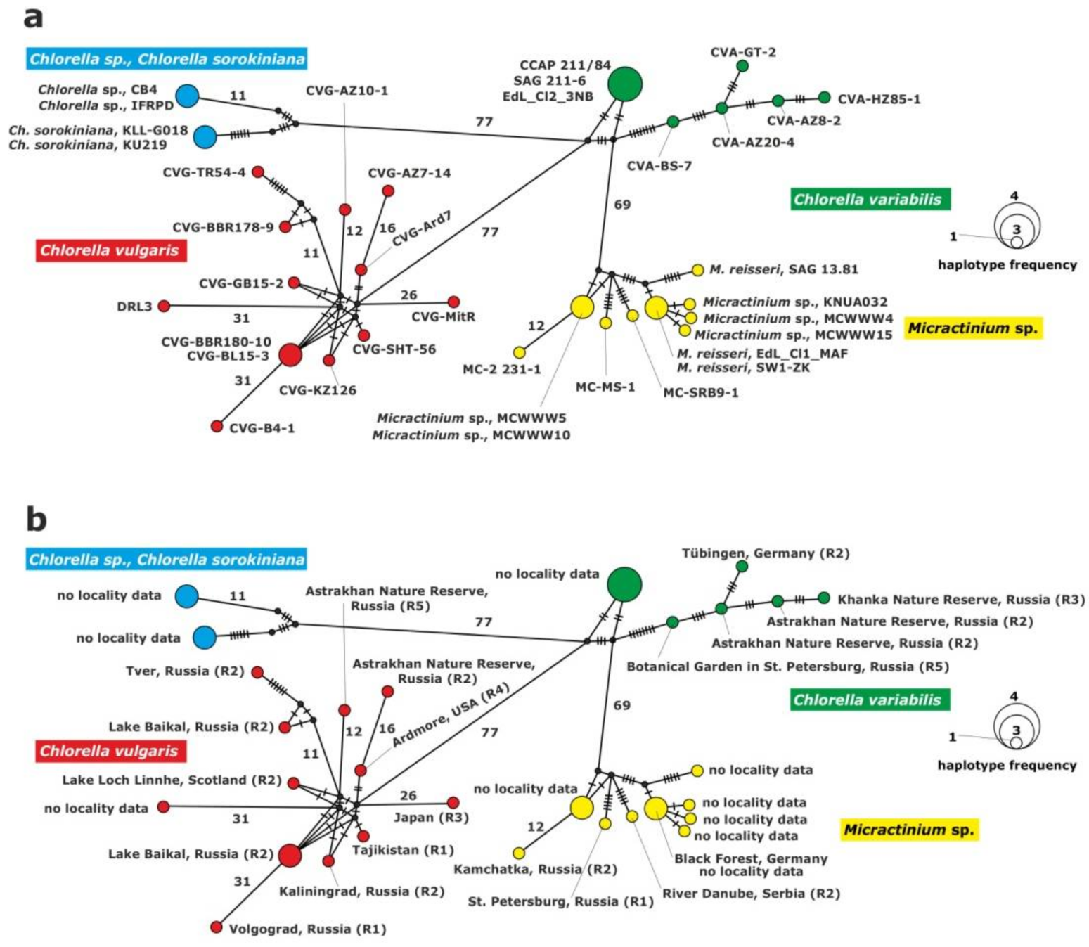 Plants 10 00609 g002 Plants 10 00609 g002