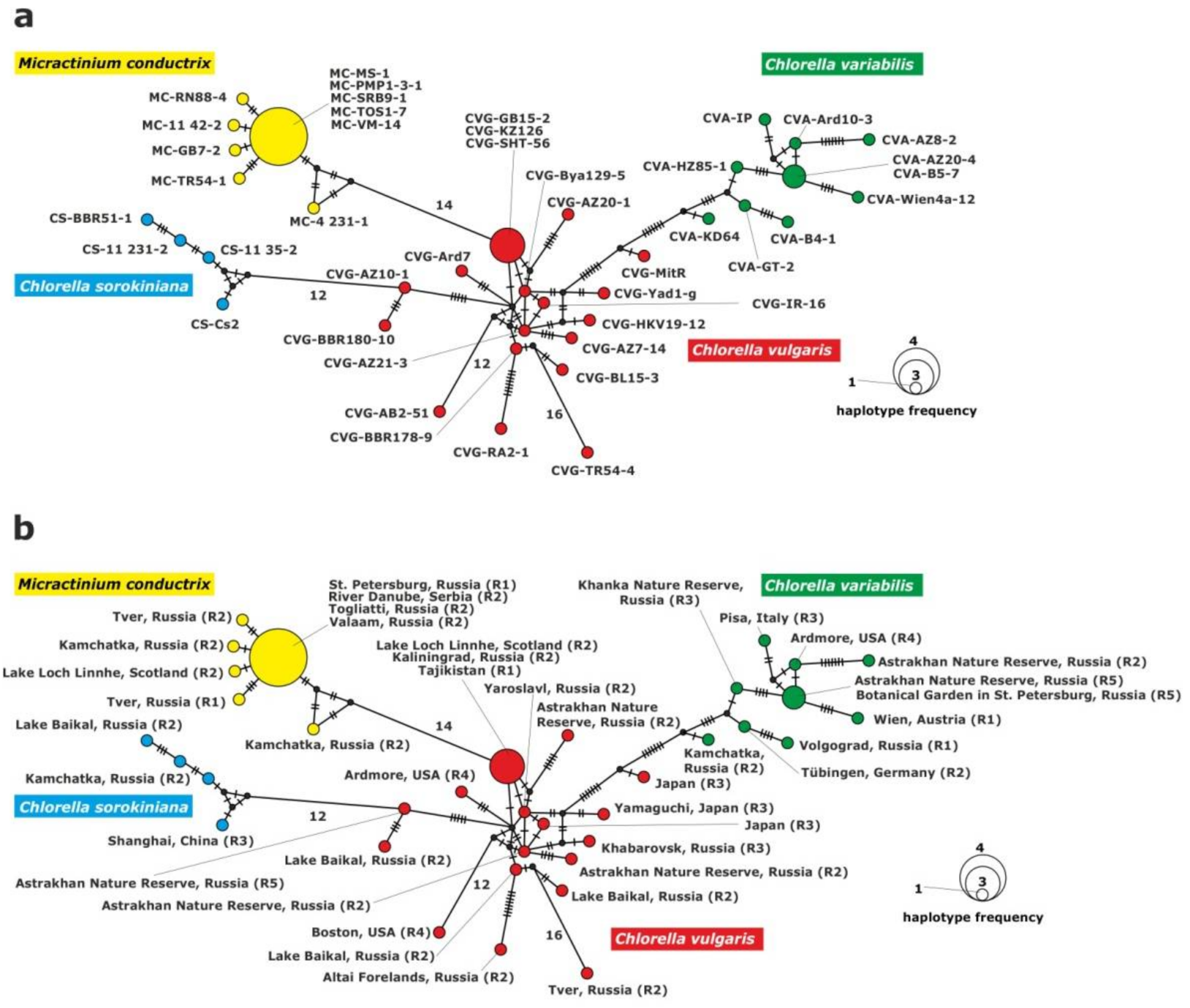 Plants 10 00609 g004 Plants 10 00609 g004