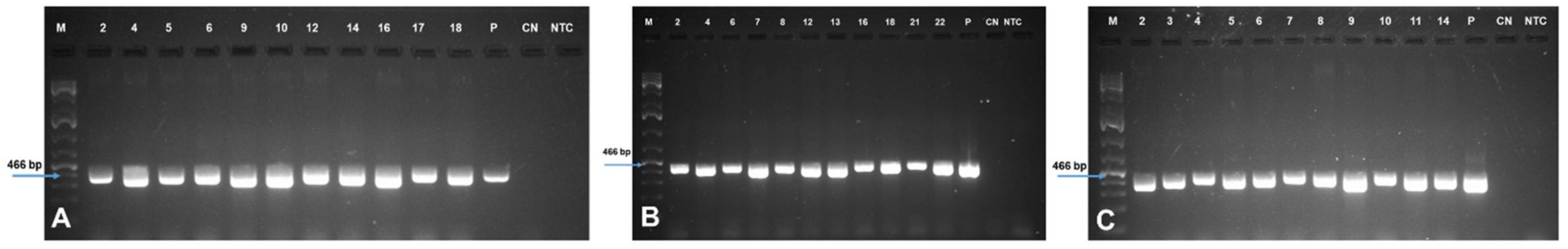 Plants 10 00613 g004 Plants 10 00613 g004