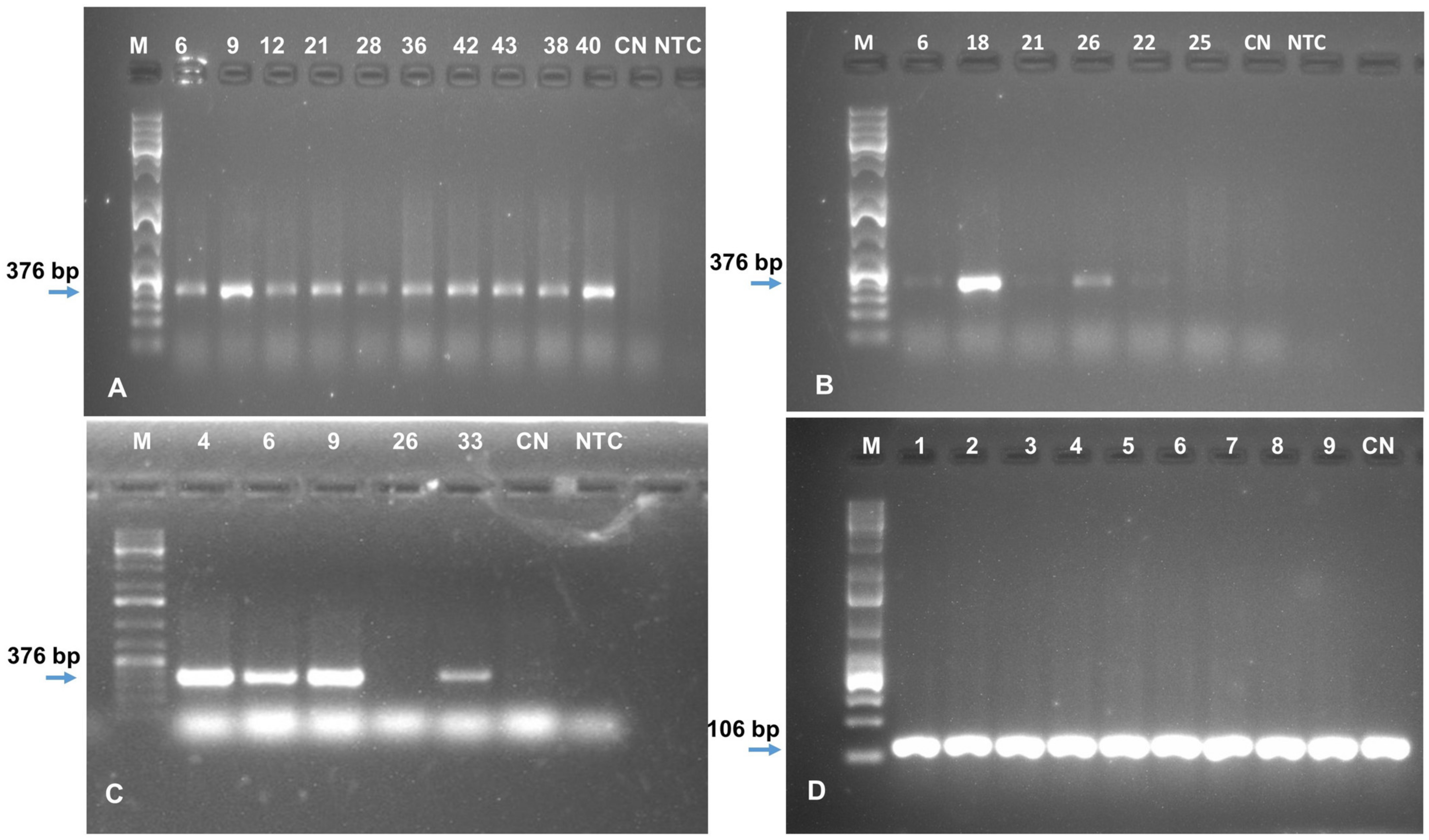 Plants 10 00613 g006 Plants 10 00613 g006